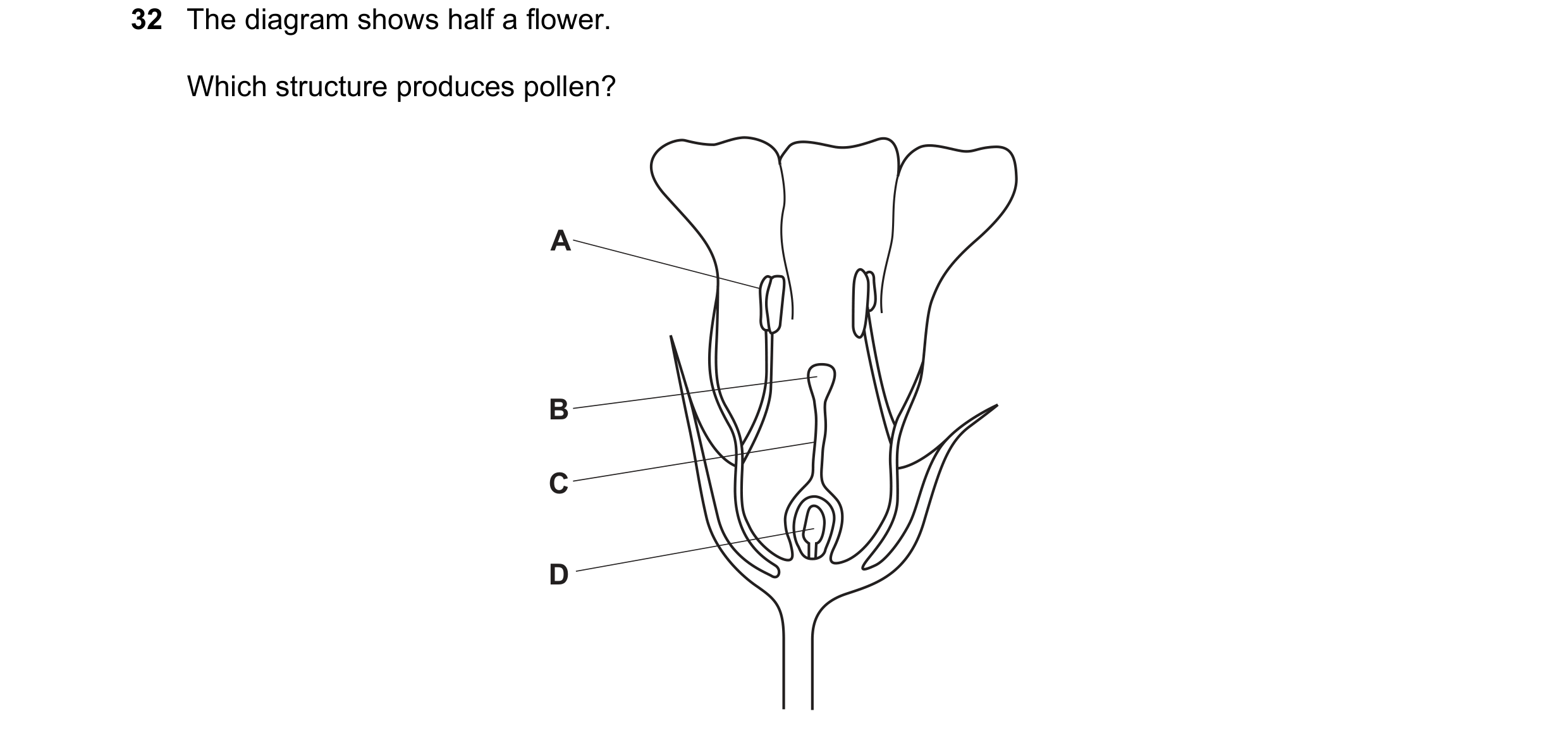 Question 12: The diagram shows half a flower. Which structure produces pollen? A B C D