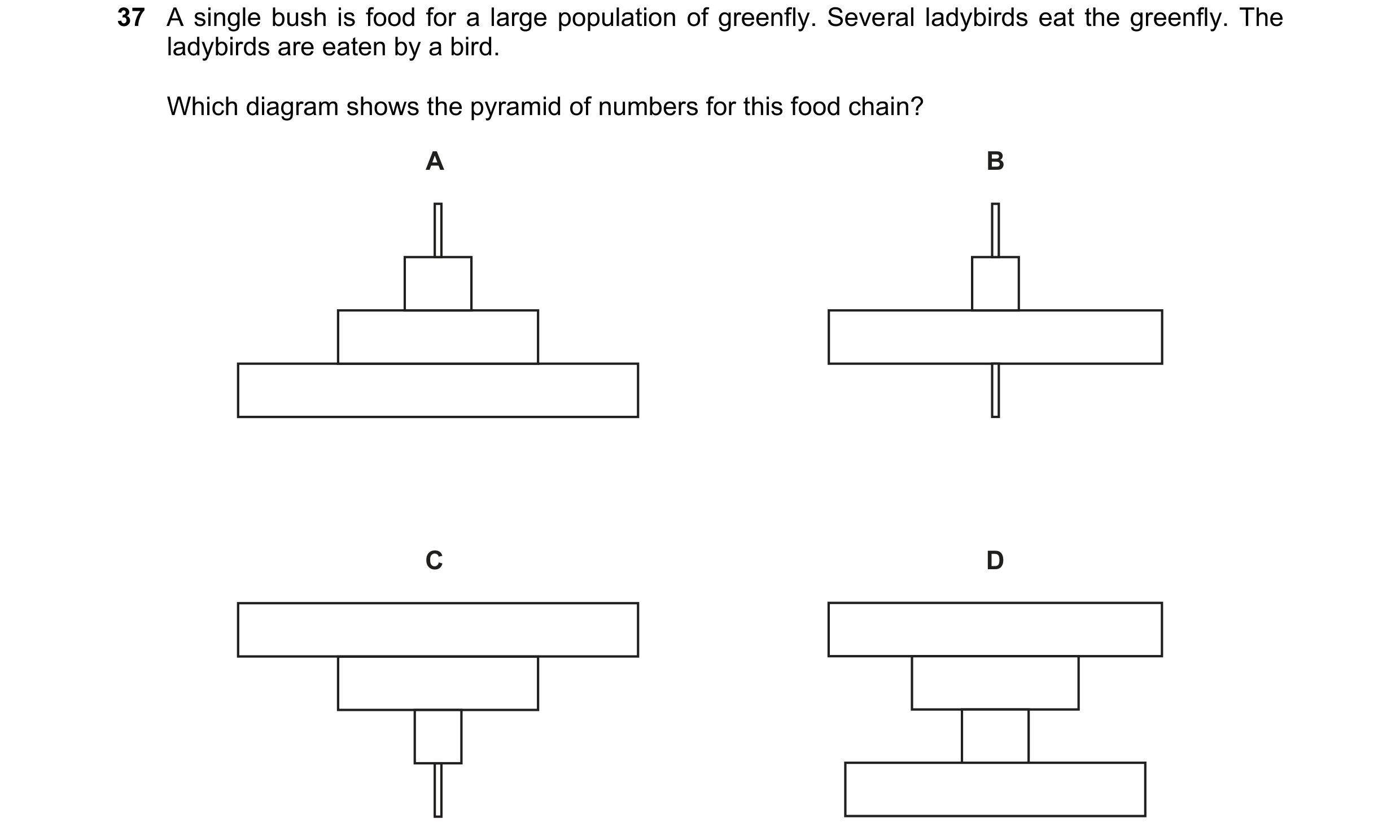 Question 22: A single bush is food for a large population of greenfly. Several ladybirds eat the greenfly. The ladybirds are eaten by a bird. Which diag…