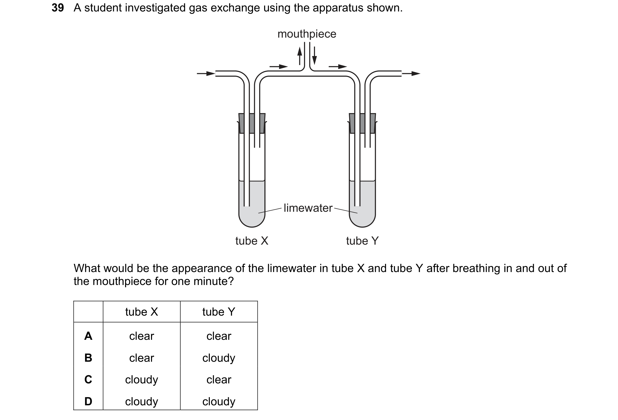 Question 25: A student investigated gas exchange using the apparatus shown. mouthpiece limewater tube X tube Y What would be the appearance of the limew…