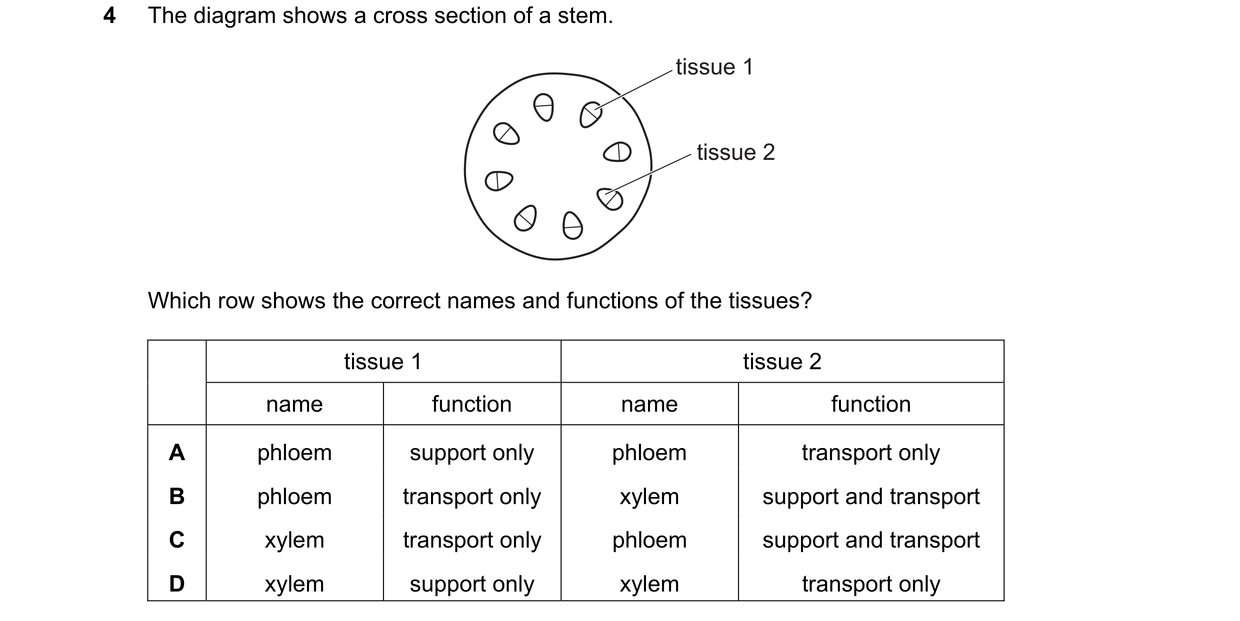 Question 13: The diagram shows a cross section of a stem. tissue 1 tissue 2 Which row shows the correct names and functions of the tissues? tissue 1 tis…