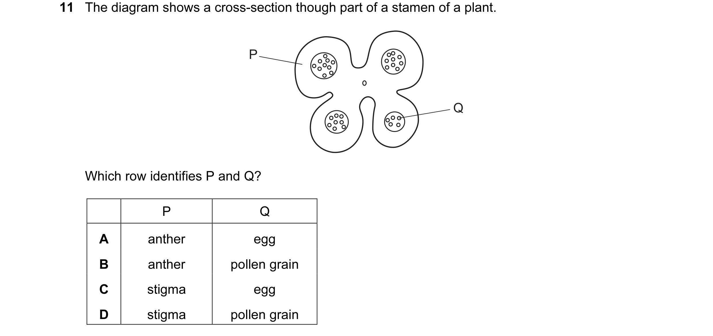 Question 46: The diagram shows a cross-section though part of a stamen of a plant. P Q Which row identifies P and Q? P Q A anther egg B anther pollen gr…