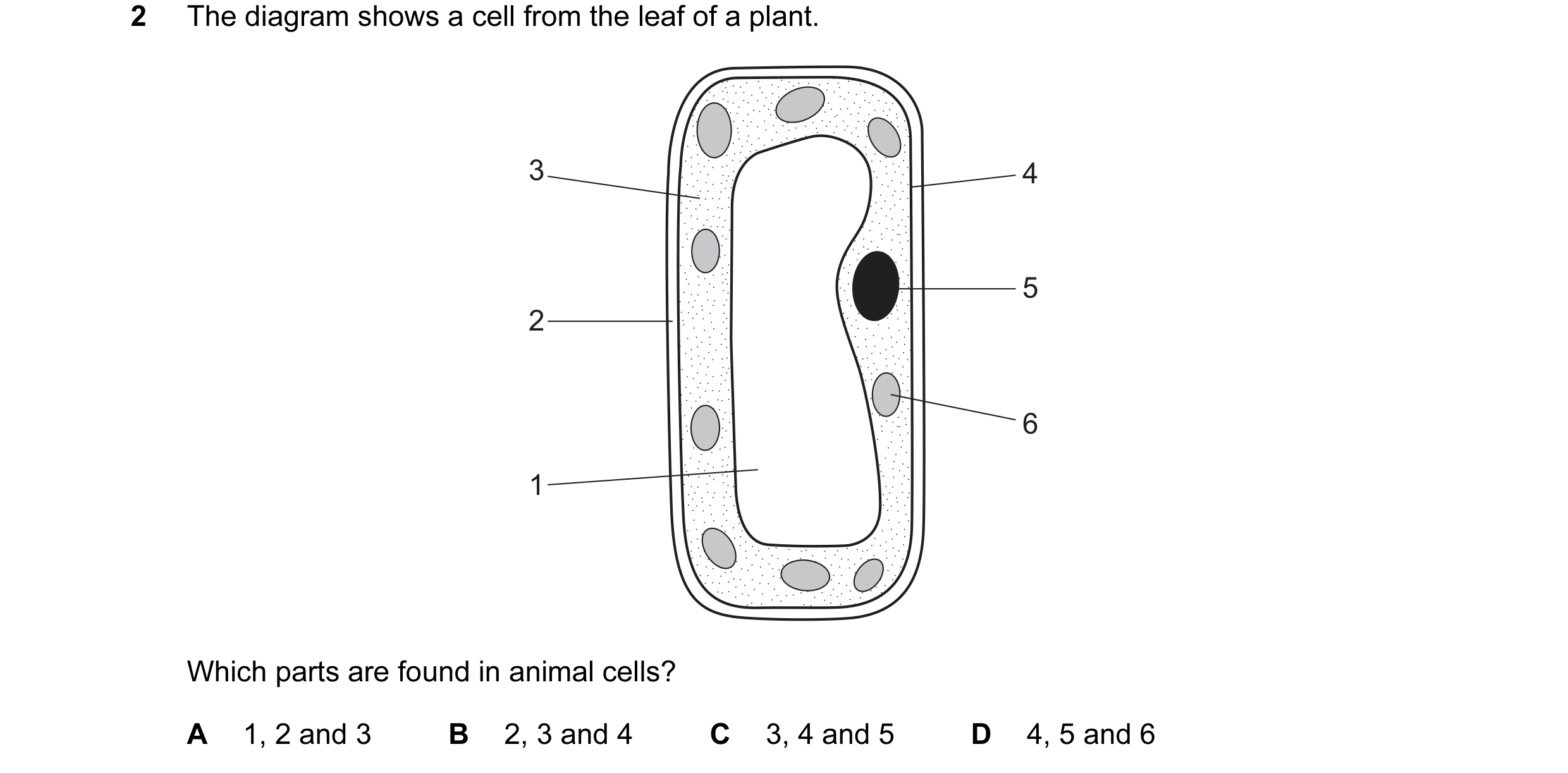 Question 39: The diagram shows a cell from the leaf of a plant. 3 4 5 2 6 1 Which parts are found in animal cells? A 1, 2 and 3 B 2, 3 and 4 C 3, 4 and …