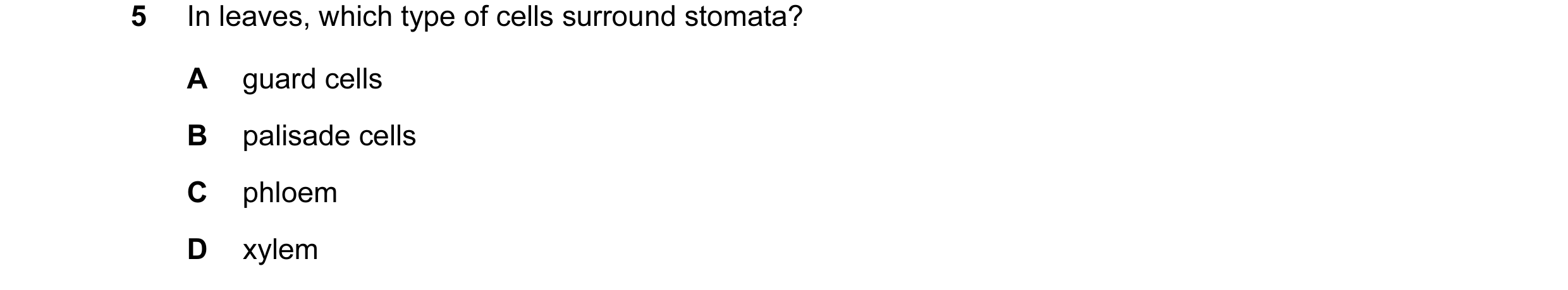 Question 25: In leaves, which type of cells surround stomata? A guard cells B palisade cells C phloem D xylem