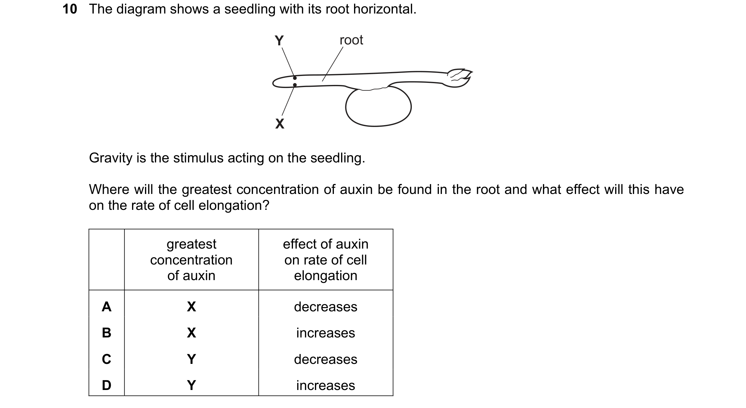 Question 11: The diagram shows a seedling with its root horizontal. Y root X Gravity is the stimulus acting on the seedling. Where will the greatest con…