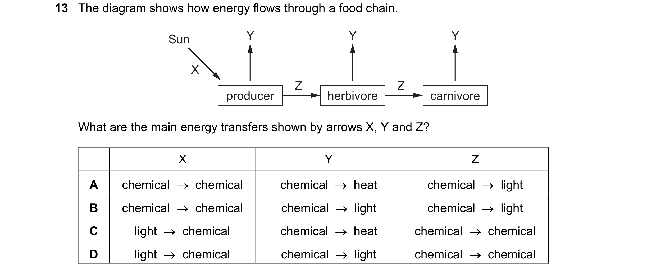 Question 6: The diagram shows how energy flows through a food chain. Sun Y Y Y X Z Z producer herbivore carnivore What are the main energy transfers sh…
