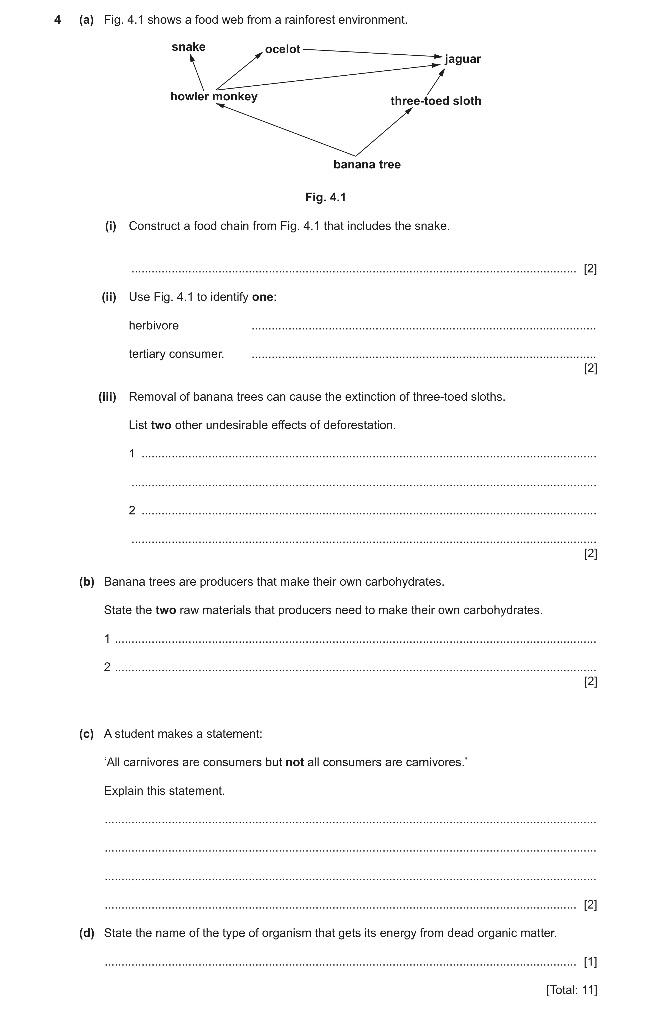 Question 23: (a) Fig. 4.1 shows a food web from a rainforest environment. snake ocelot jaguar howler monkey three-toed sloth banana tree Fig. 4.1 (i) Co…