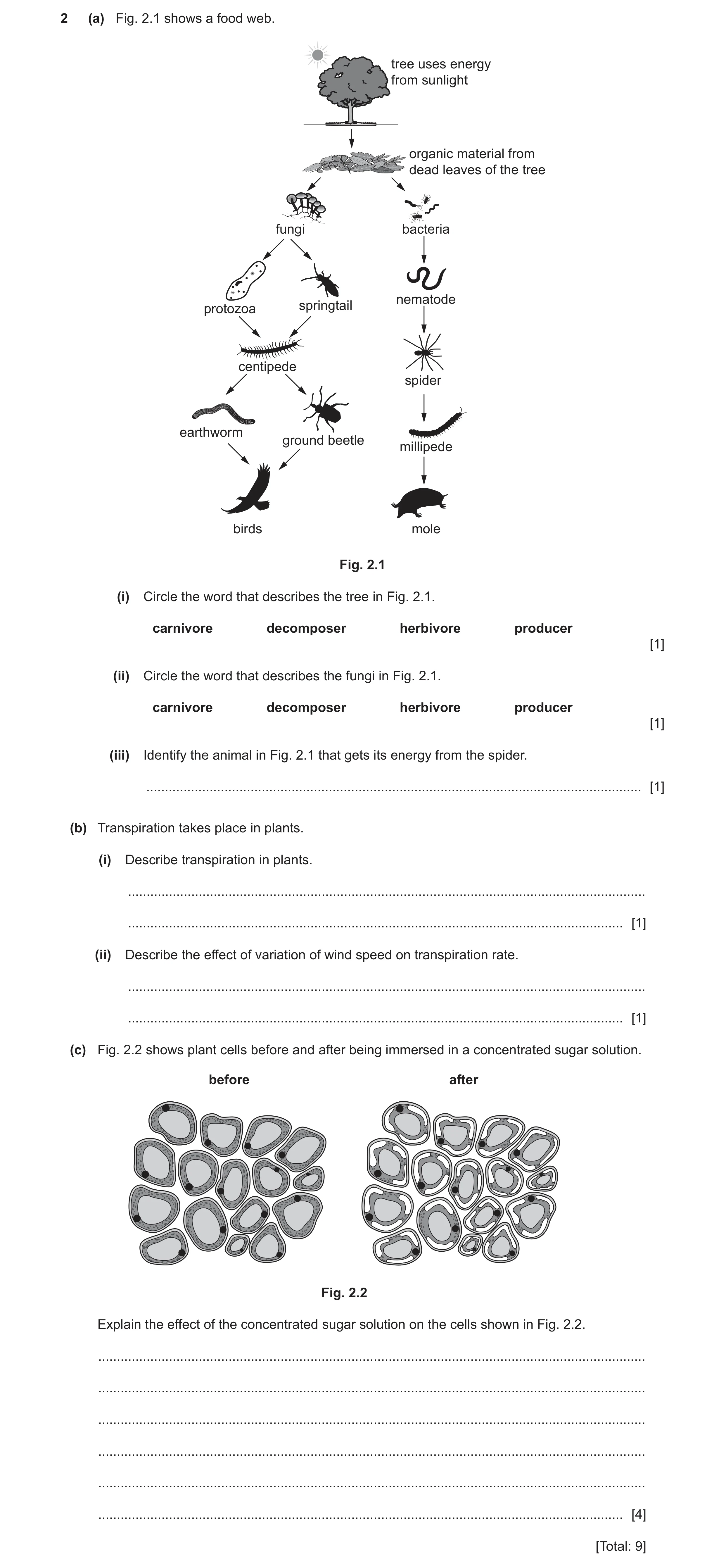 Question 15: (a) Fig. 2.1 shows a food web. tree uses energy from sunlight organic material from dead leaves of the tree fungi bacteria nematode protozo…