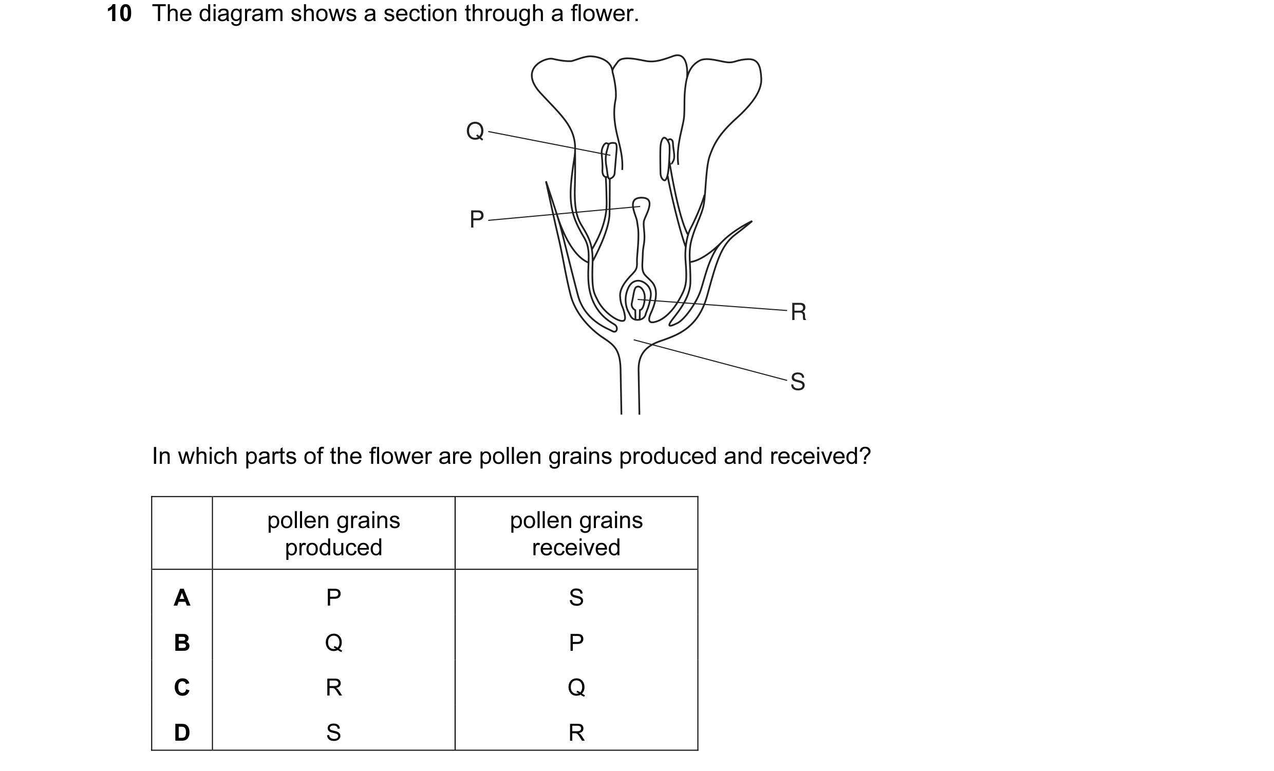 Question 38: The diagram shows a section through a flower. Q P R S In which parts of the flower are pollen grains produced and received? pollen grains p…