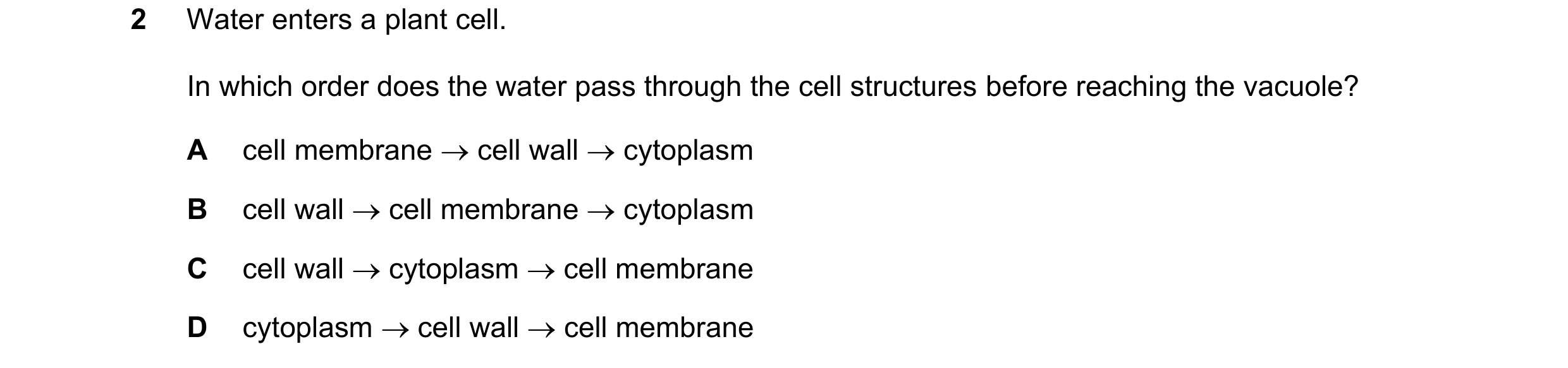 Question 15: Water enters a plant cell. In which order does the water pass through the cell structures before reaching the vacuole? A cell membrane ce…