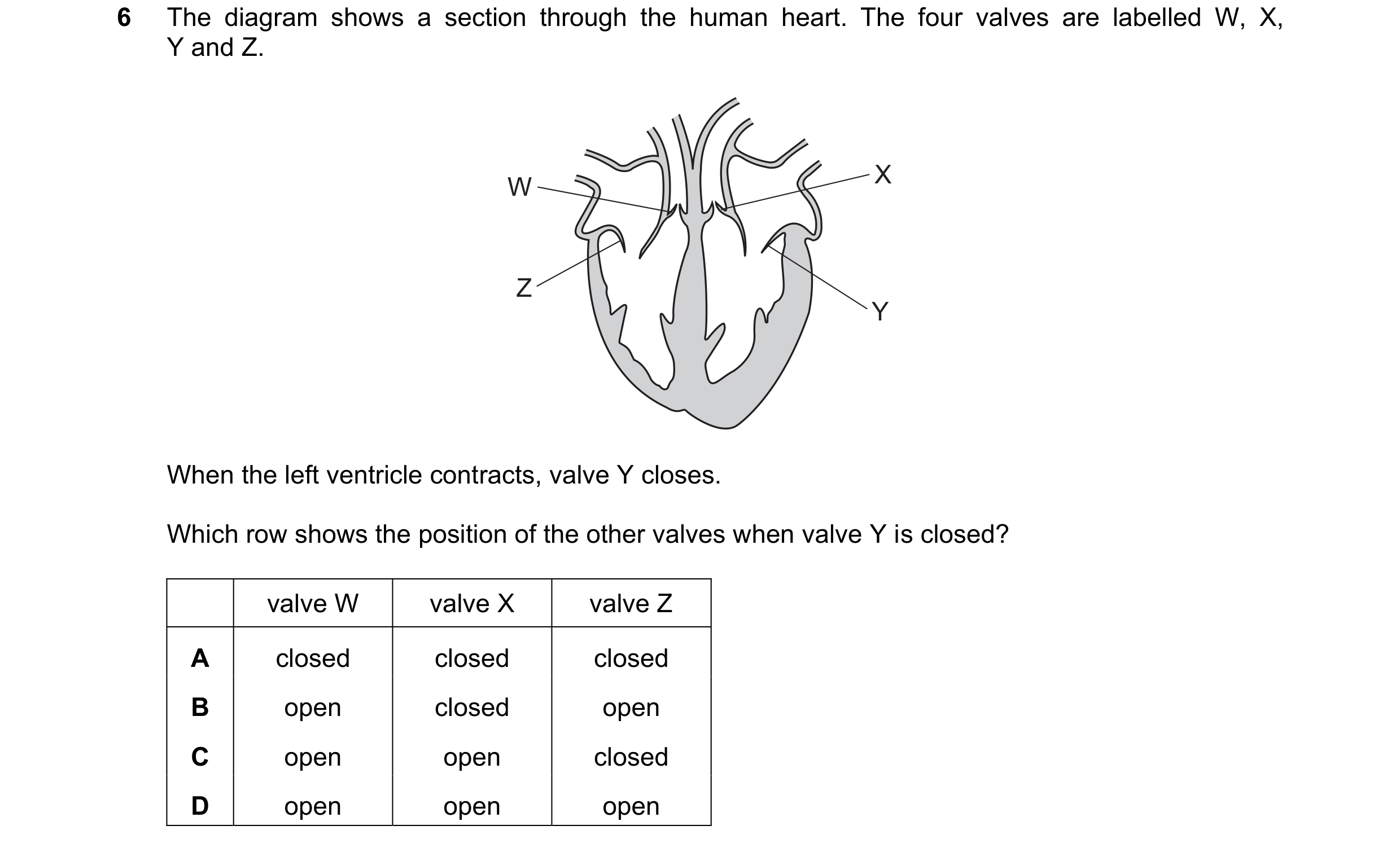 Question 25: The diagram shows a section through the human heart. The four valves are labelled W, X, Y and Z. X W Z Y When the left ventricle contracts,…