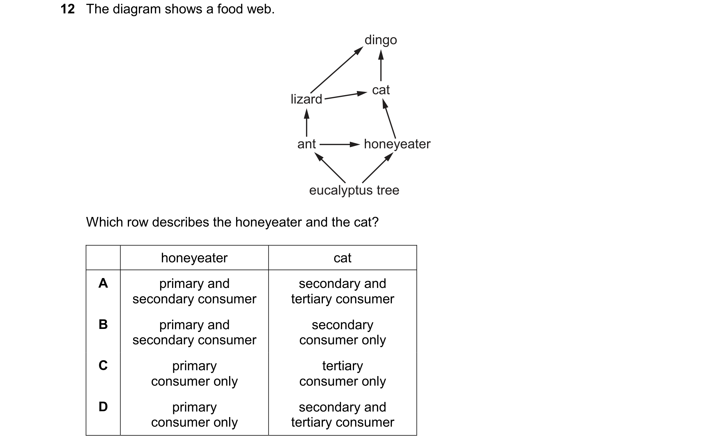 Question 46: The diagram shows a food web. dingo cat lizard ant honeyeater eucalyptus tree Which row describes the honeyeater and the cat? honeyeater ca…