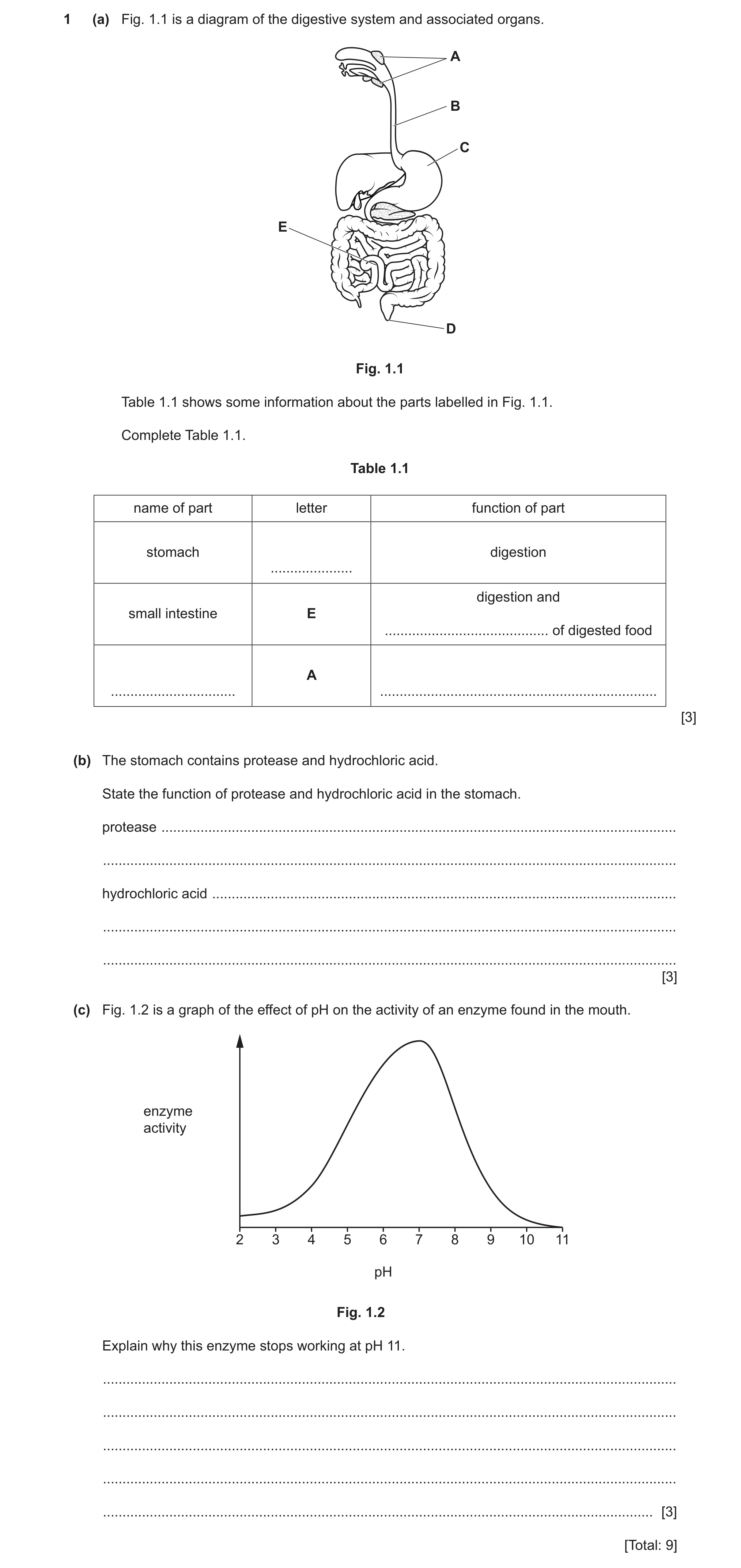 Question 22: (a) Fig. 1.1 is a diagram of the digestive system and associated organs. A B C E D Fig. 1.1 Table 1.1 shows some information about the part…