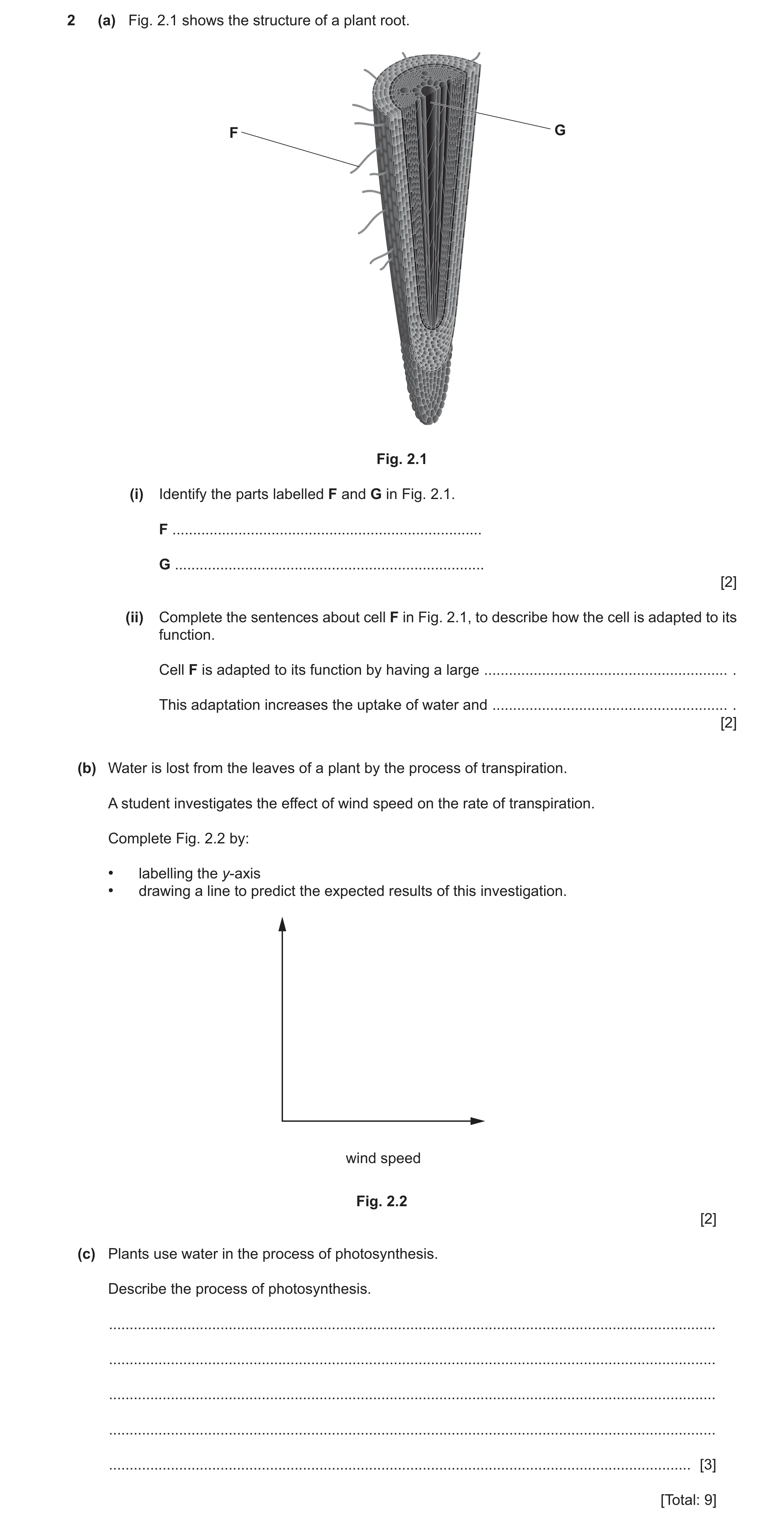 Question 14: (a) Fig. 2.1 shows the structure of a plant root. F G Fig. 2.1 (i) Identify the parts labelled F and G in Fig. 2.1. F .....................…