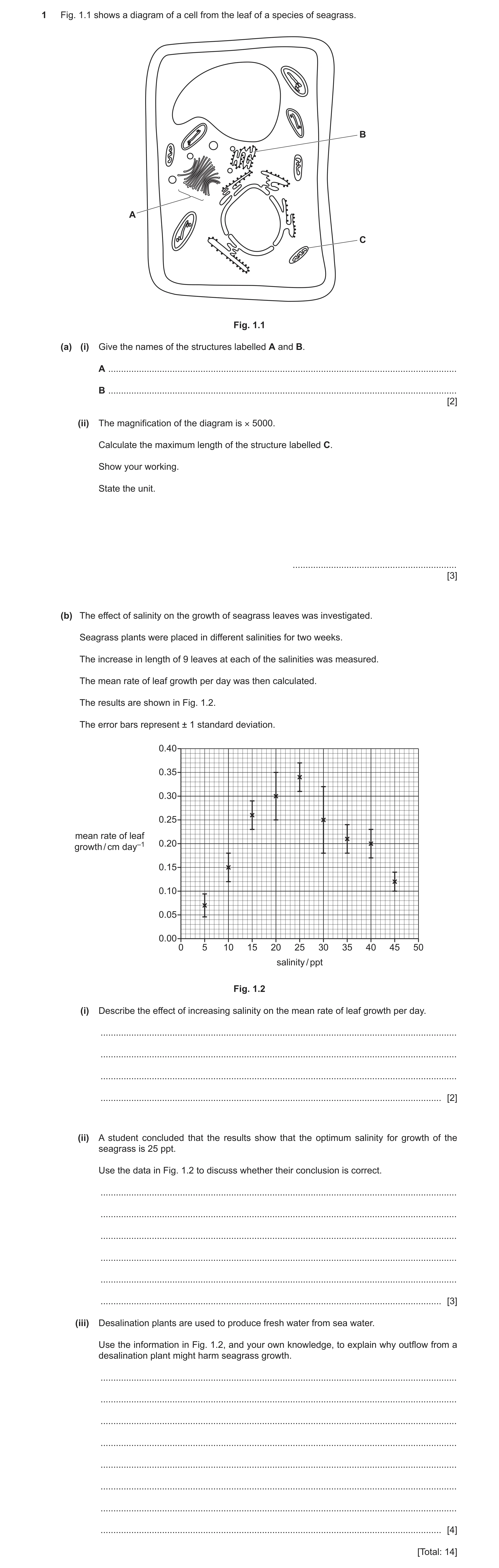 Question 4: Fig. 1.1 shows a diagram of a cell from the leaf of a species of seagrass. B A C Fig. 1.1 (a) (i) Give the names of the structures labelled…