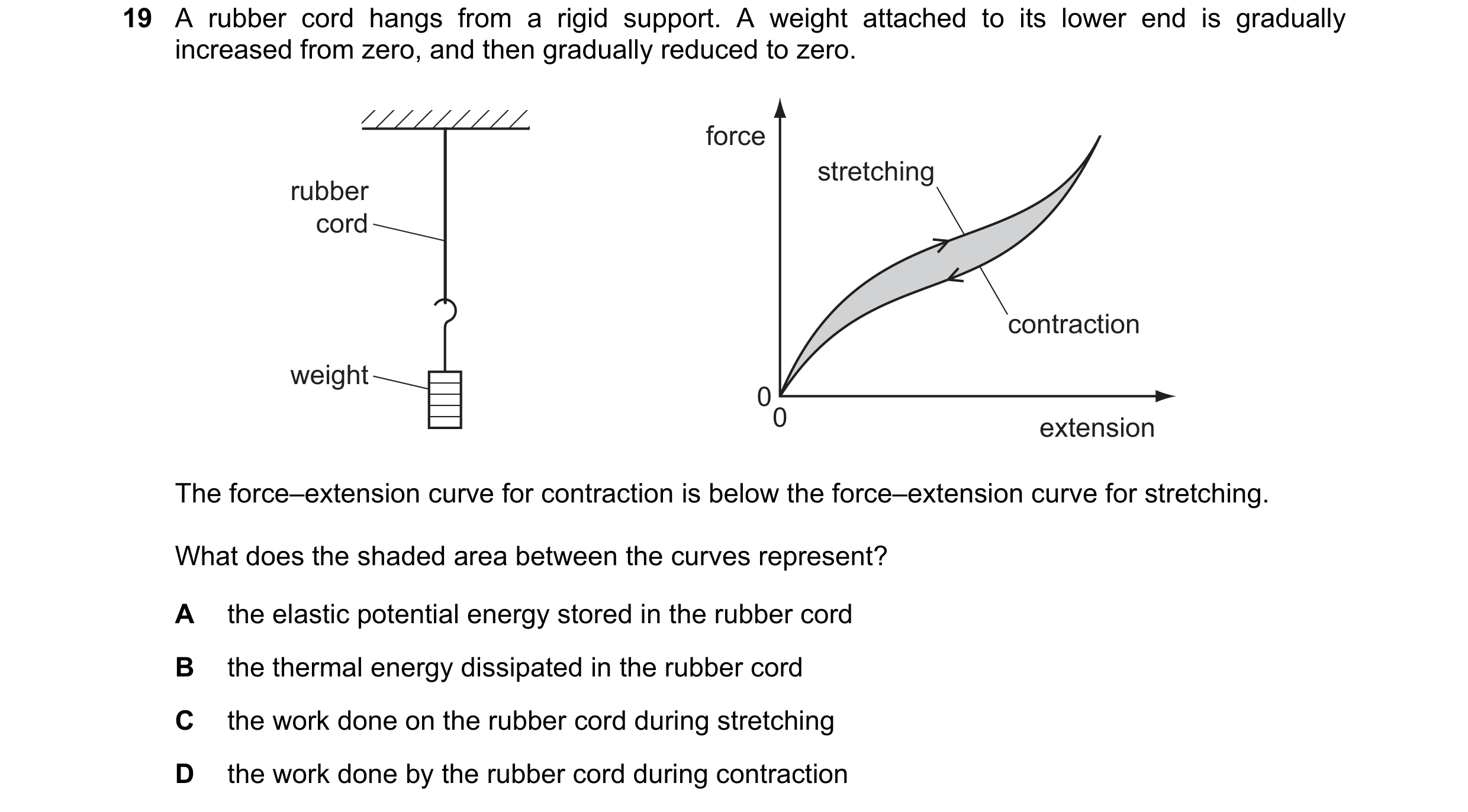 Question 98: A rubber cord hangs from a rigid support. A weight attached to its lower end is gradually increased from zero, and then gradually reduced t…