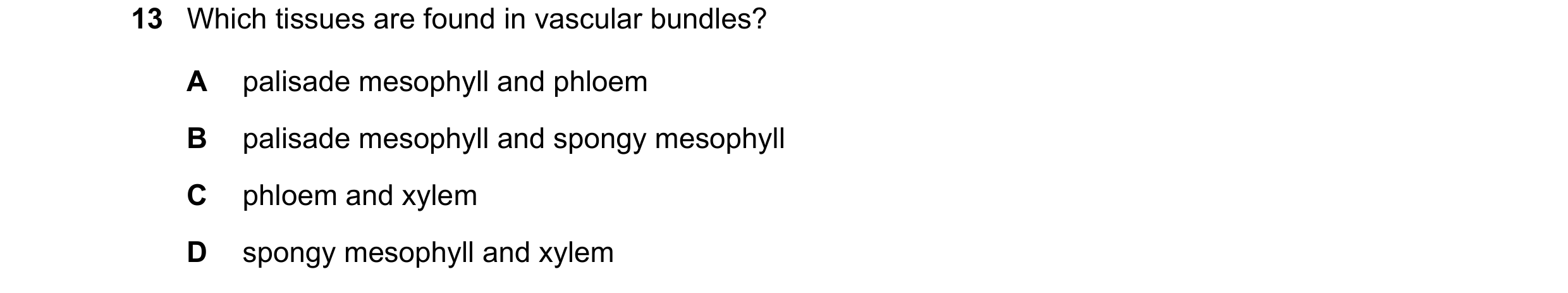 Question 14: Which tissues are found in vascular bundles? A palisade mesophyll and phloem B palisade mesophyll and spongy mesophyll C phloem and xylem D…