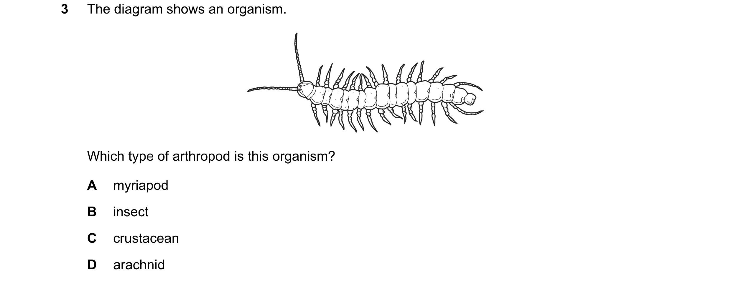Question 17: The diagram shows an organism. Which type of arthropod is this organism? A myriapod B insect C crustacean D arachnid