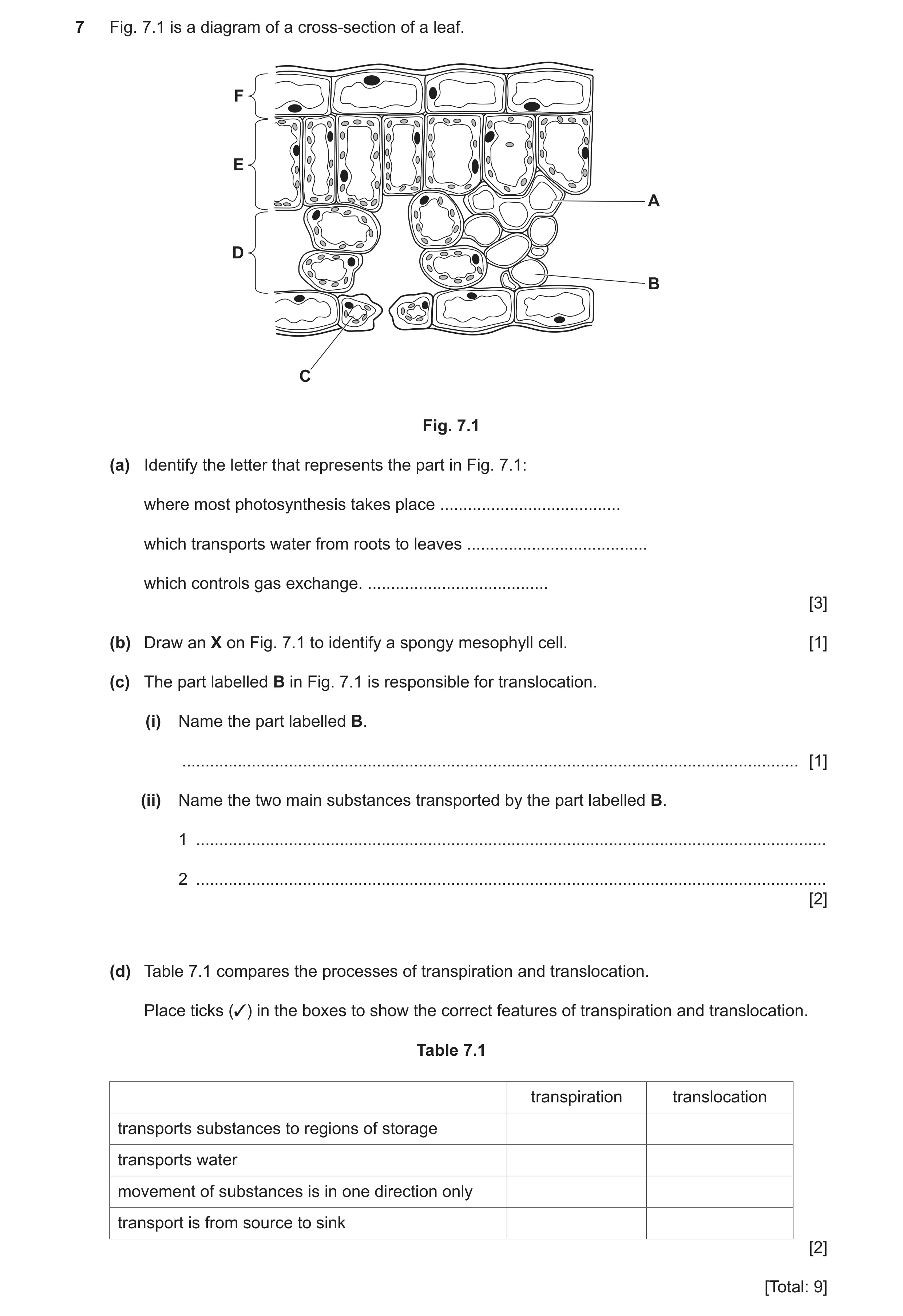Question 8: Fig. 7.1 is a diagram of a cross-section of a leaf. F E A D B C Fig. 7.1 (a) Identify the letter that represents the part in Fig. 7.1: wher…