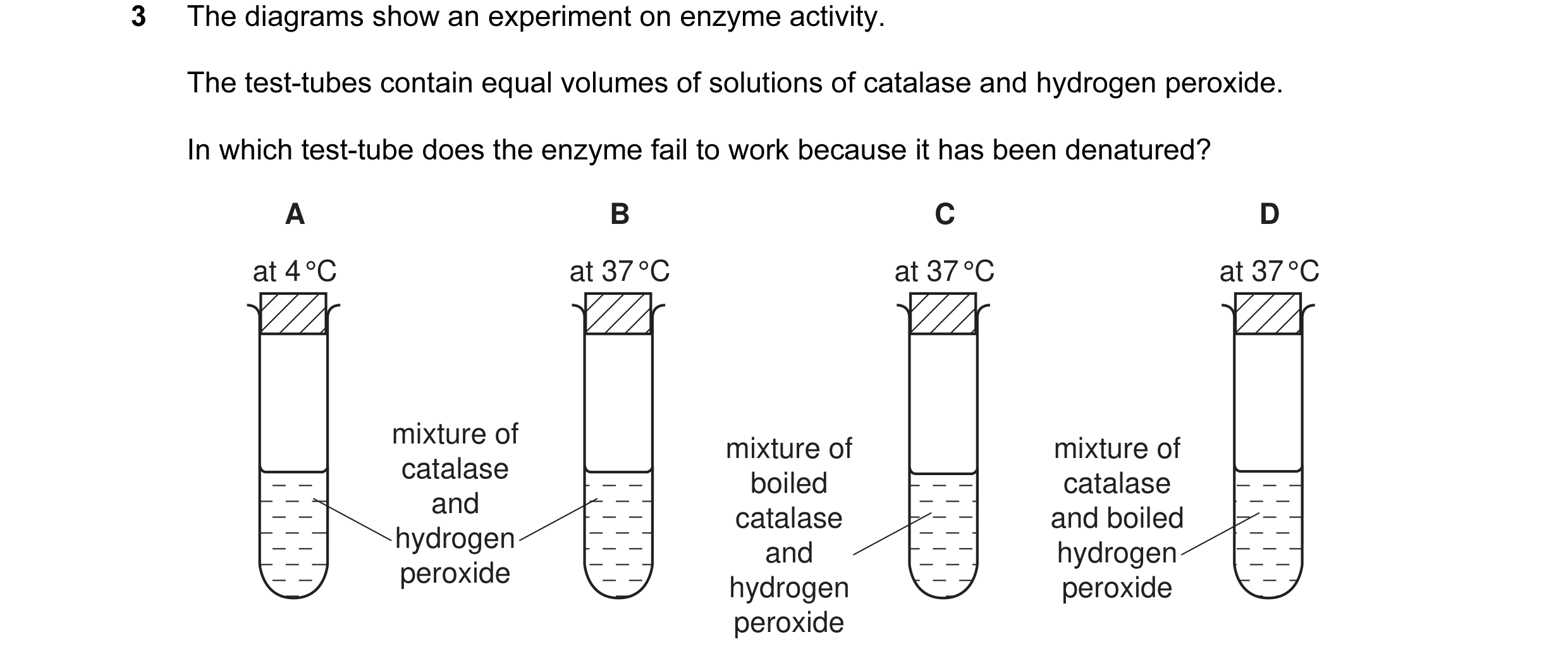Question 7: The diagrams show an experiment on enzyme activity. The test-tubes contain equal volumes of solutions of catalase and hydrogen peroxide. In…