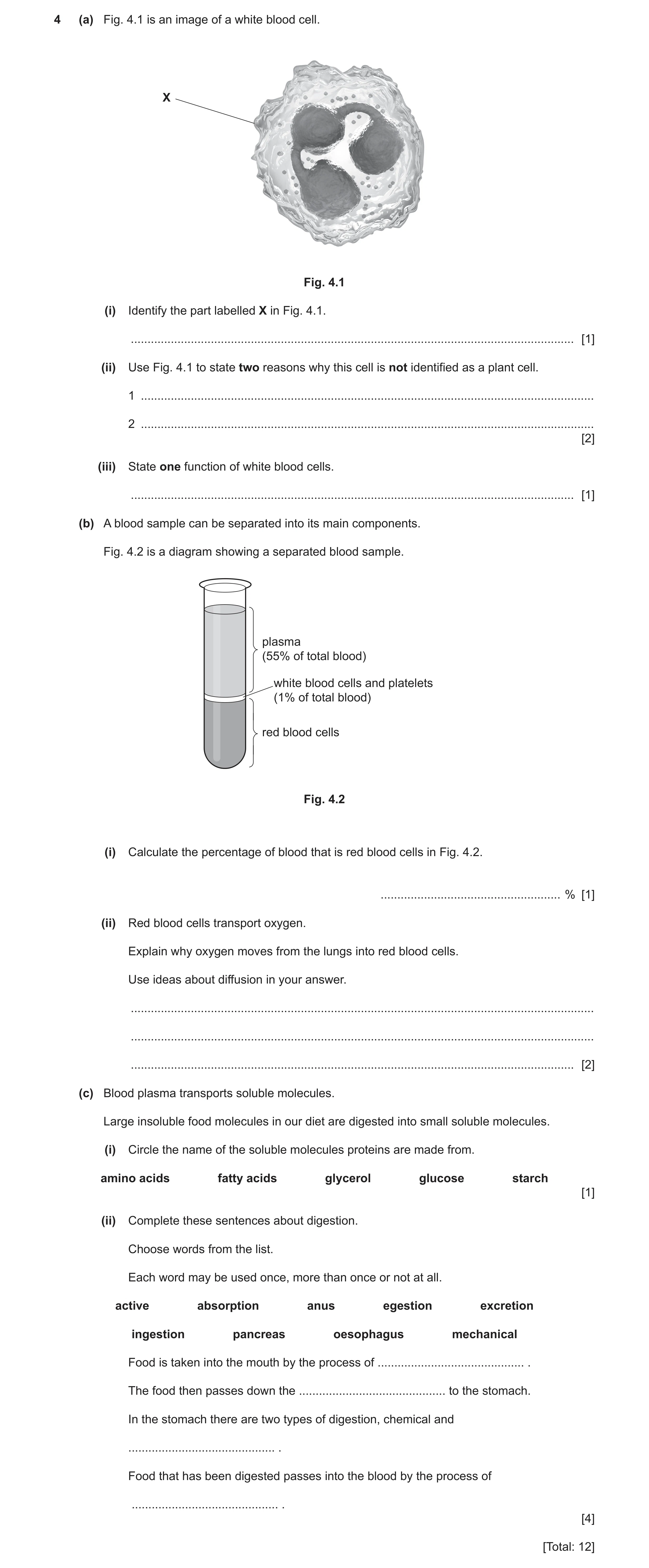 Question 13: (a) Fig. 4.1 is an image of a white blood cell. X Fig. 4.1 (i) Identify the part labelled X in Fig. 4.1. ..................................…