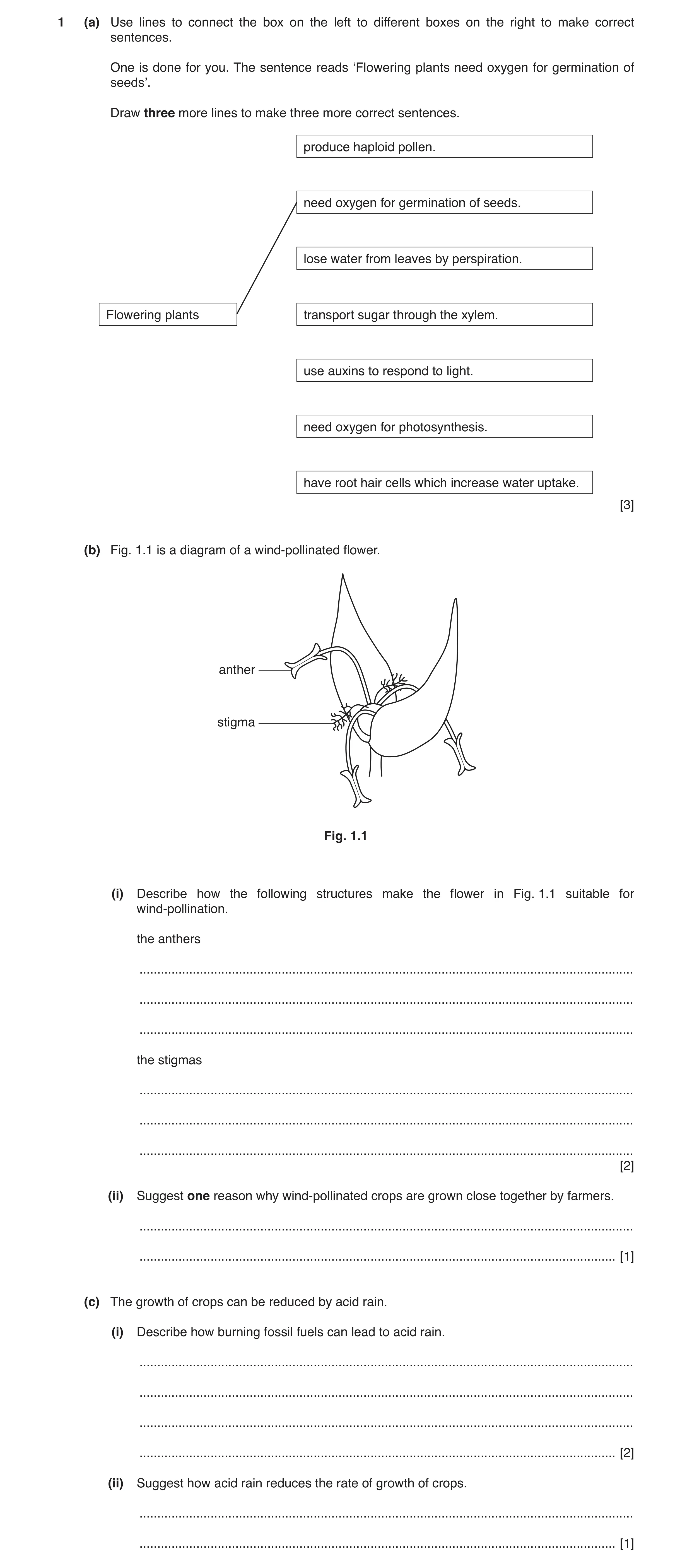 Question 3: (a) Use lines to connect the box on the left to different boxes on the right to make correct sentences. One is done for you. The sentence r…