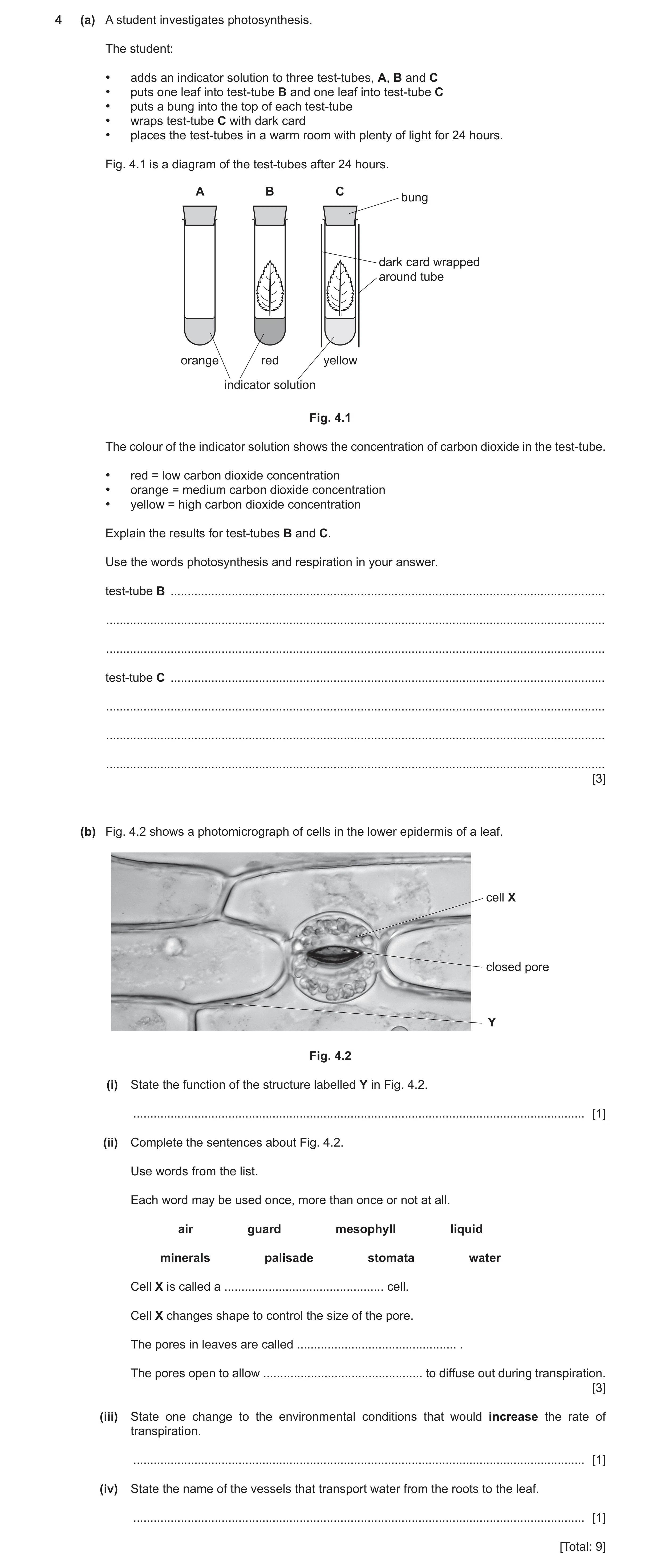 Question 25: (a) A student investigates photosynthesis. The student: • adds an indicator solution to three test‑tubes, A, B and C • puts one leaf into t…