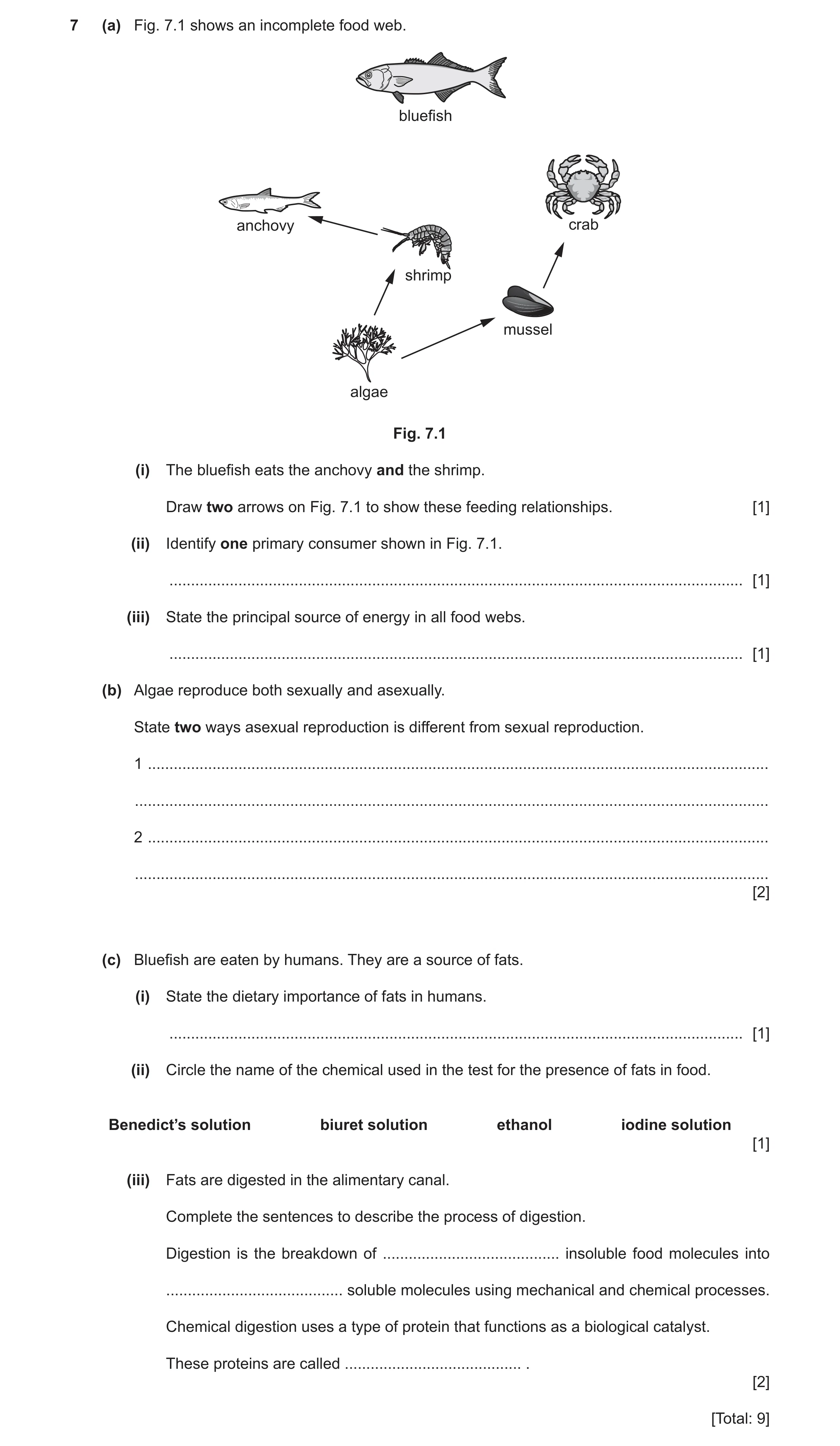 Question 12: (a) Fig. 7.1 shows an incomplete food web. bluefish anchovy crab shrimp mussel algae Fig. 7.1 (i) The bluefish eats the anchovy and the shr…