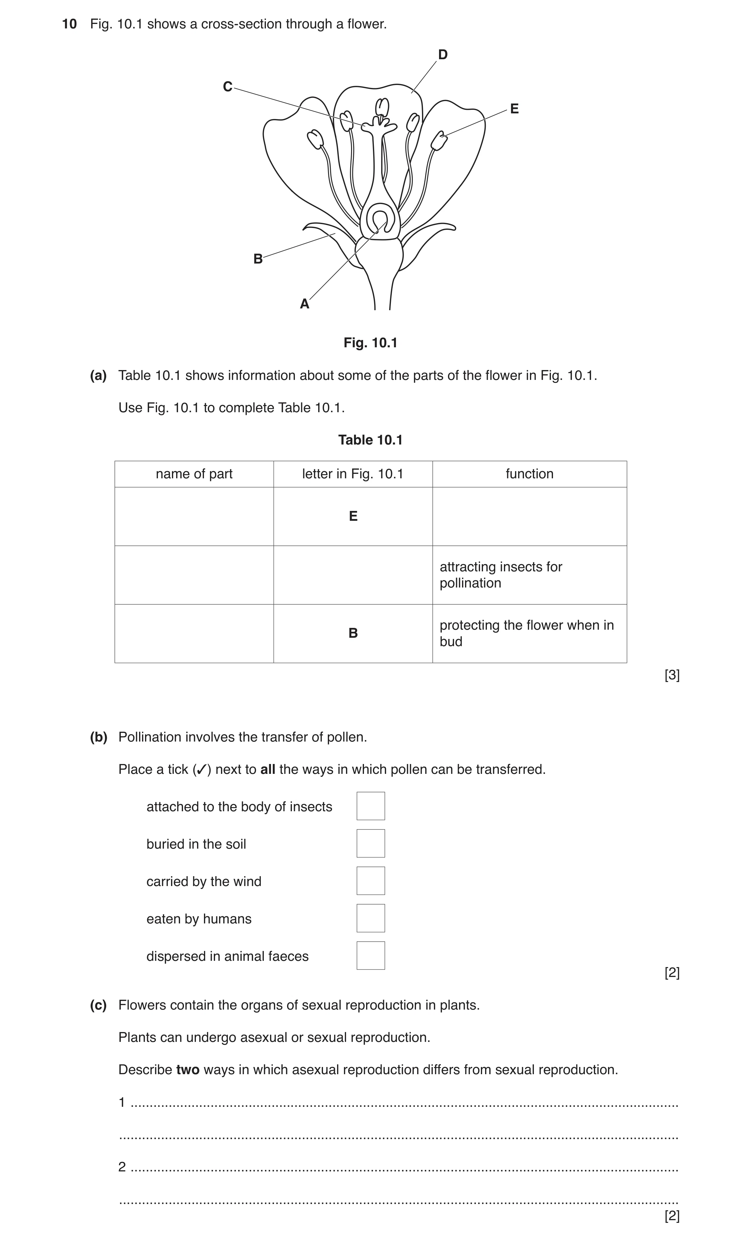 Question 3: Fig. 10.1 shows a cross‑section through a flower. D C E B A Fig. 10.1 (a) Table 10.1 shows information about some of the parts of the flowe…