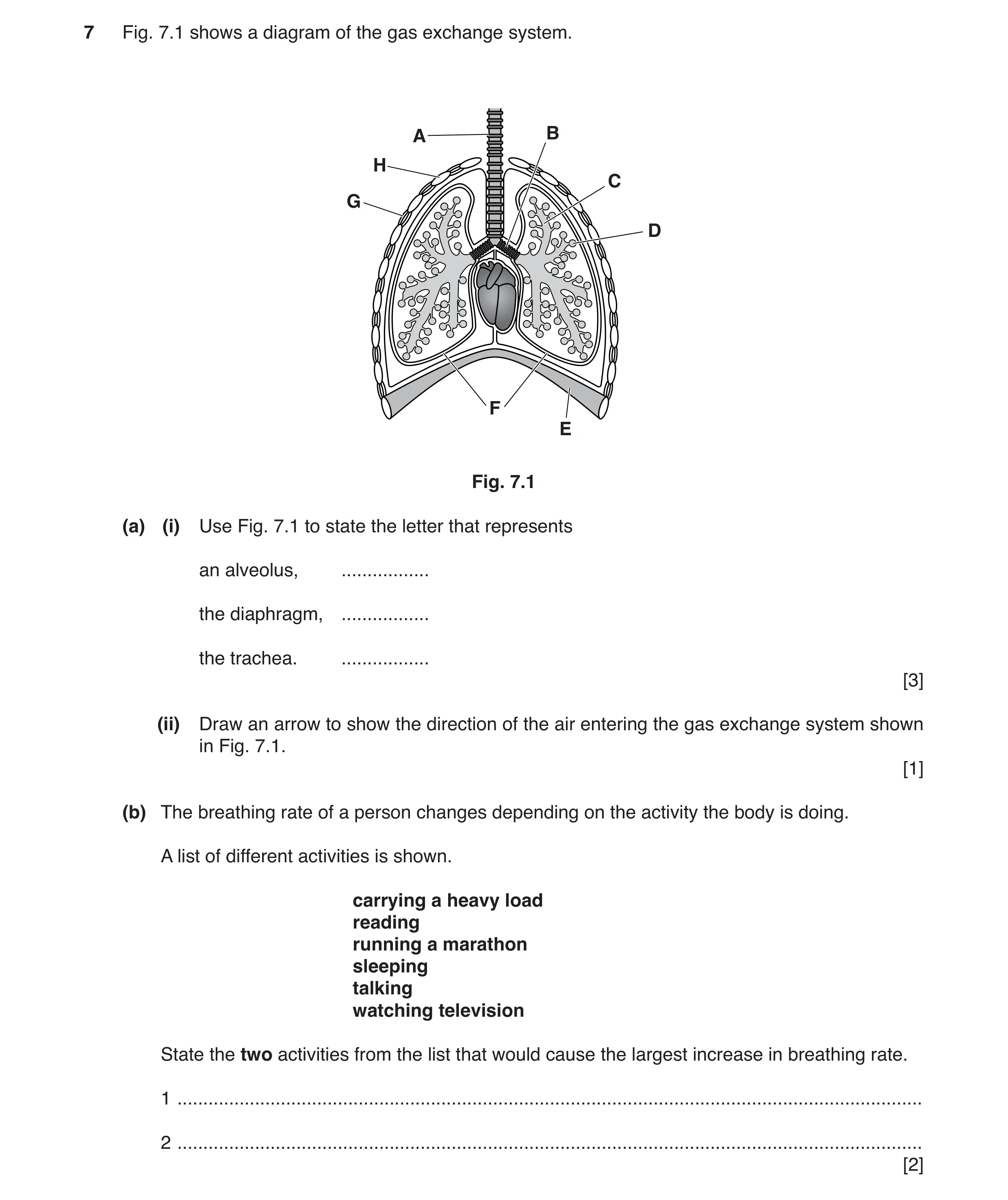 Question 2: Fig. 7.1 shows a diagram of the gas exchange system. A B H C G D F E Fig. 7.1 (a) (i) Use Fig. 7.1 to state the letter that represents an a…