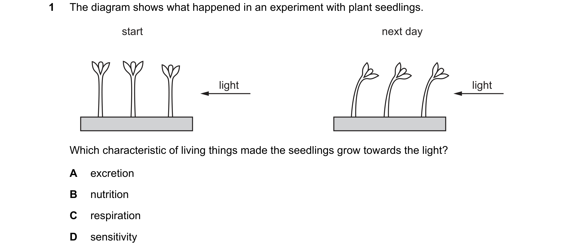 Question 9: The diagram shows what happened in an experiment with plant seedlings. start next day light light Which characteristic of living things mad…
