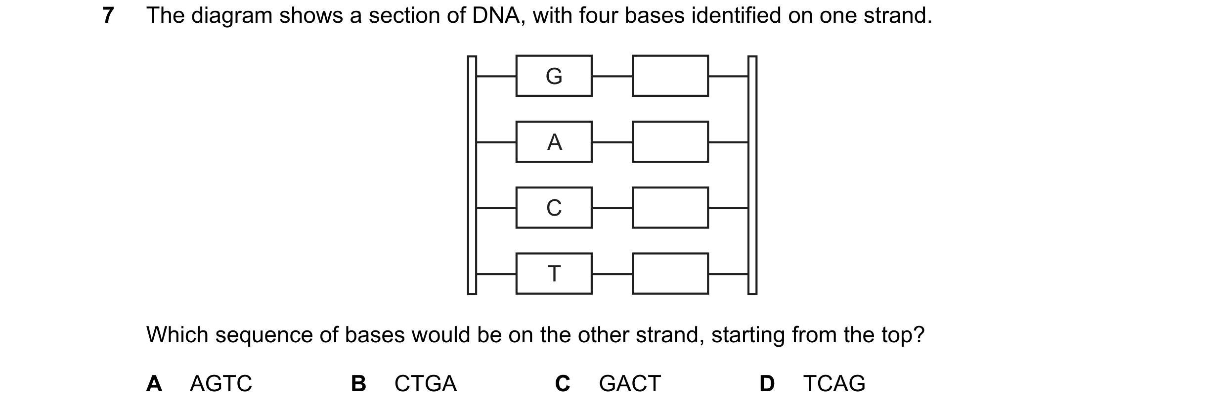 Question 10: The diagram shows a section of DNA, with four bases identified on one strand. G A C T Which sequence of bases would be on the other strand,…