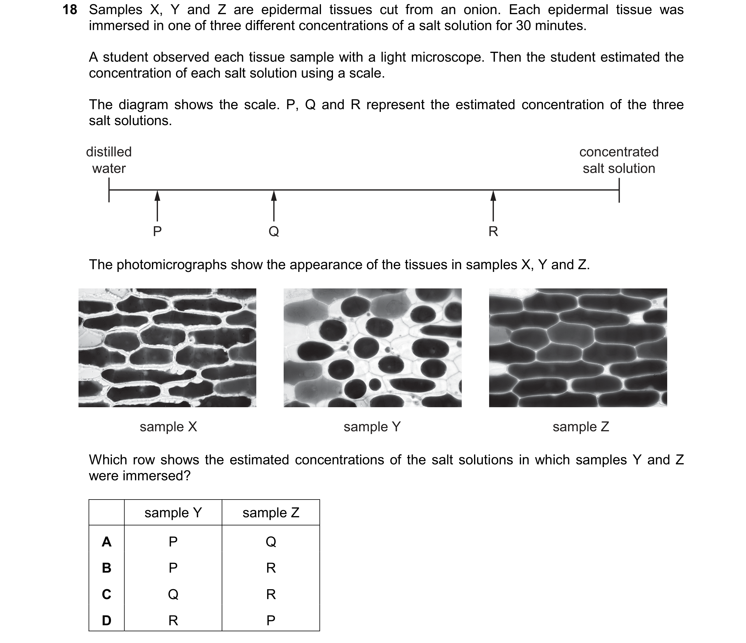 Question 246: Samples X, Y and Z are epidermal tissues cut from an onion. Each epidermal tissue was immersed in one of three different concentrations of …