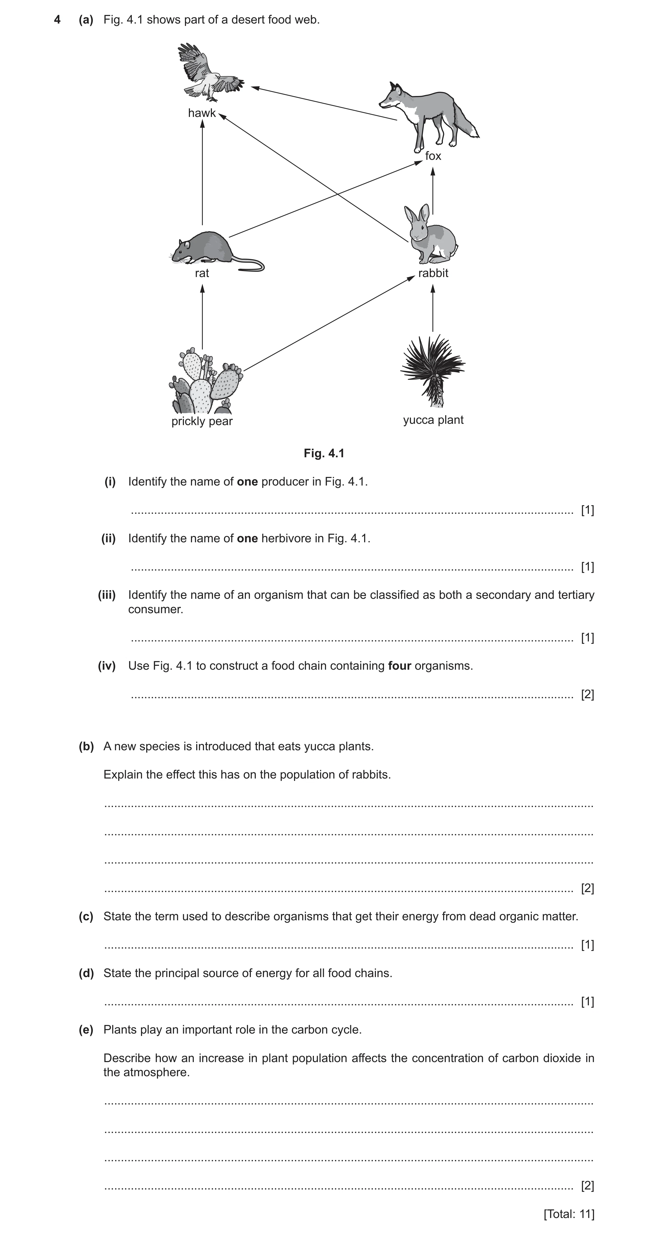 Question 10: (a) Fig. 4.1 shows part of a desert food web. hawk fox rat rabbit prickly pear yucca plant Fig. 4.1 (i) Identify the name of one producer i…