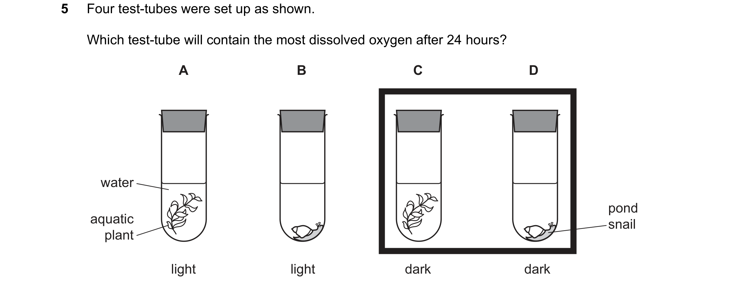 Question 5: Four test-tubes were set up as shown. Which test-tube will contain the most dissolved oxygen after 24 hours? A B C D water pond aquatic sna…