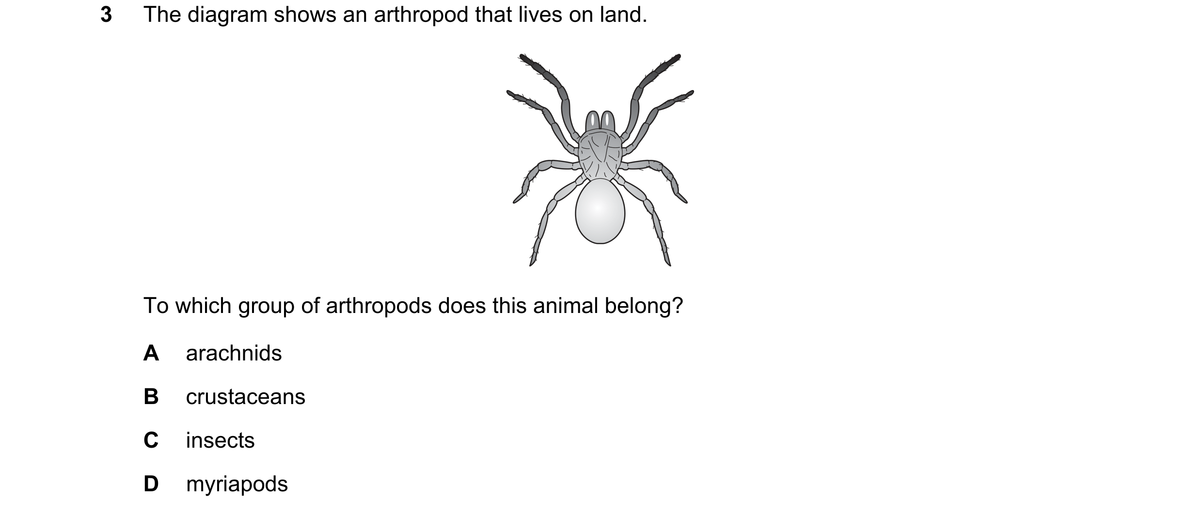 Question 18: The diagram shows an arthropod that lives on land. To which group of arthropods does this animal belong? A arachnids B crustaceans C insect…