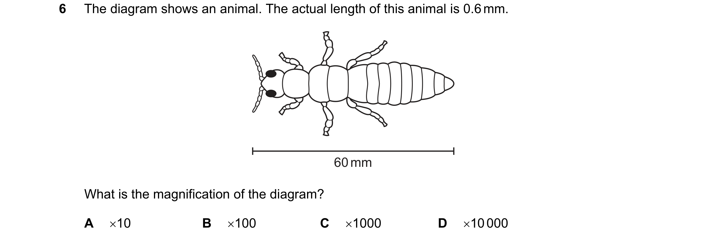 Question 6: The diagram shows an animal. The actual length of this animal is 0.6 mm. 60 mm What is the magnification of the diagram? A 10 B 100 C 10…