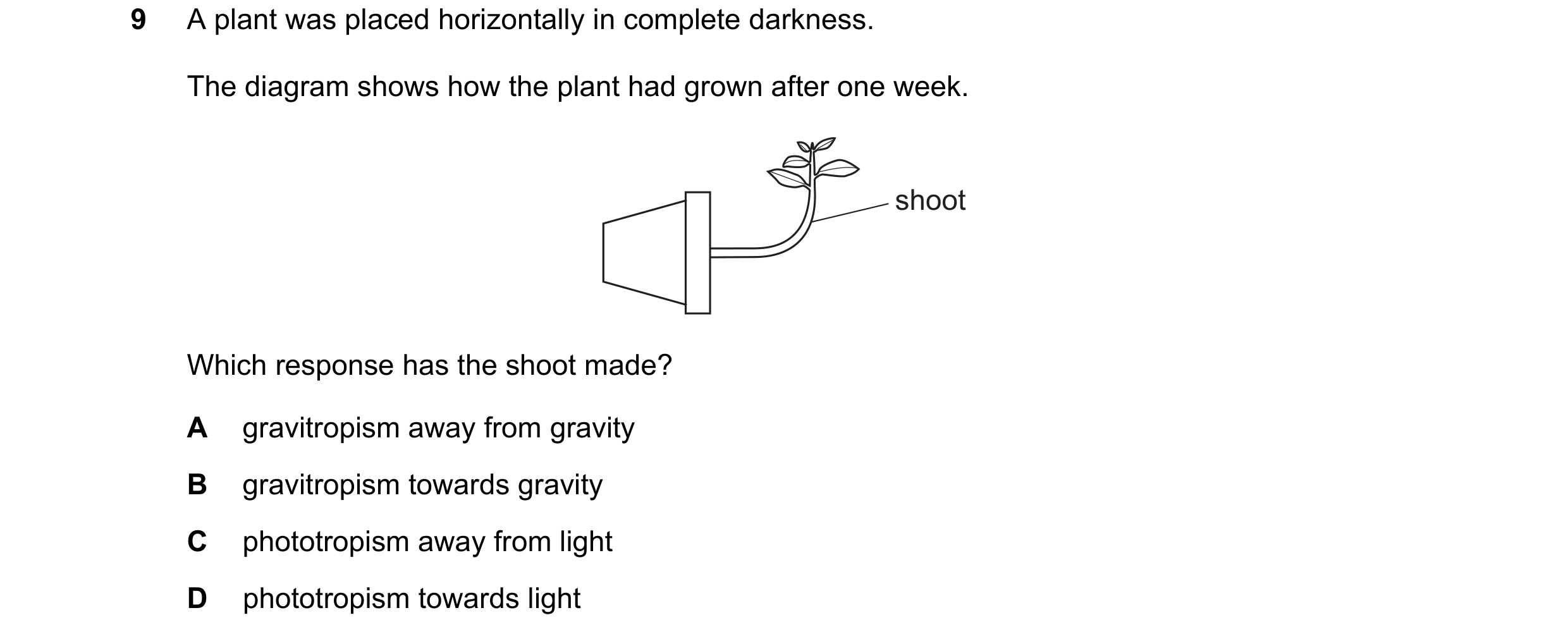 Question 19: A plant was placed horizontally in complete darkness. The diagram shows how the plant had grown after one week. shoot Which response has th…