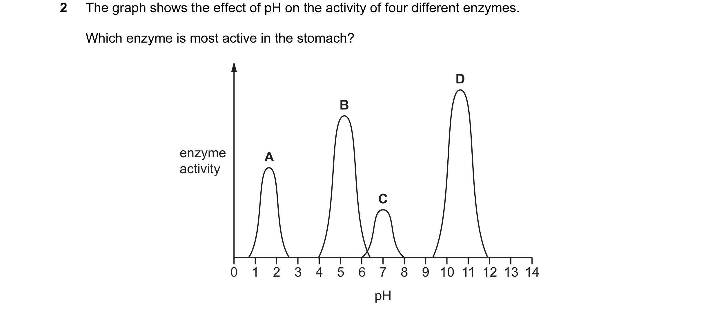 Question 1: The graph shows the effect of pH on the activity of four different enzymes. Which enzyme is most active in the stomach? D B enzyme A activi…