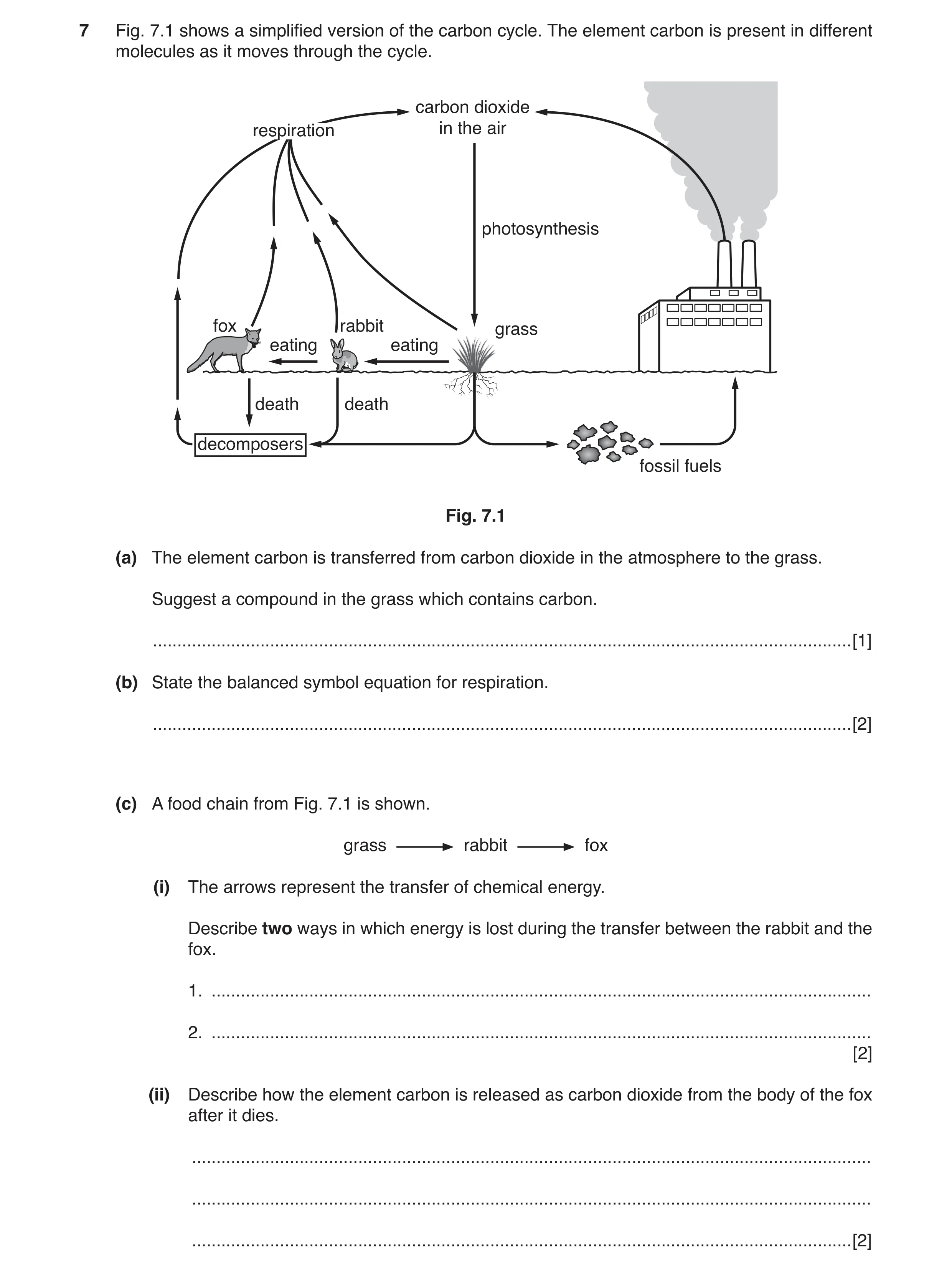 Question 5: Fig. 7.1 shows a simplified version of the carbon cycle. The element carbon is present in different molecules as it moves through the cycle…