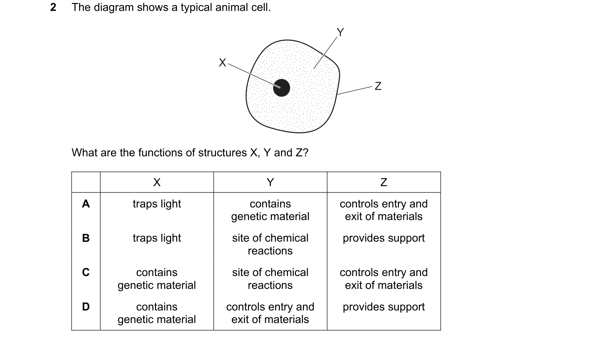 Question 8: The diagram shows a typical animal cell. Y X Z What are the functions of structures X, Y and Z? X Y Z A traps light contains controls entry…