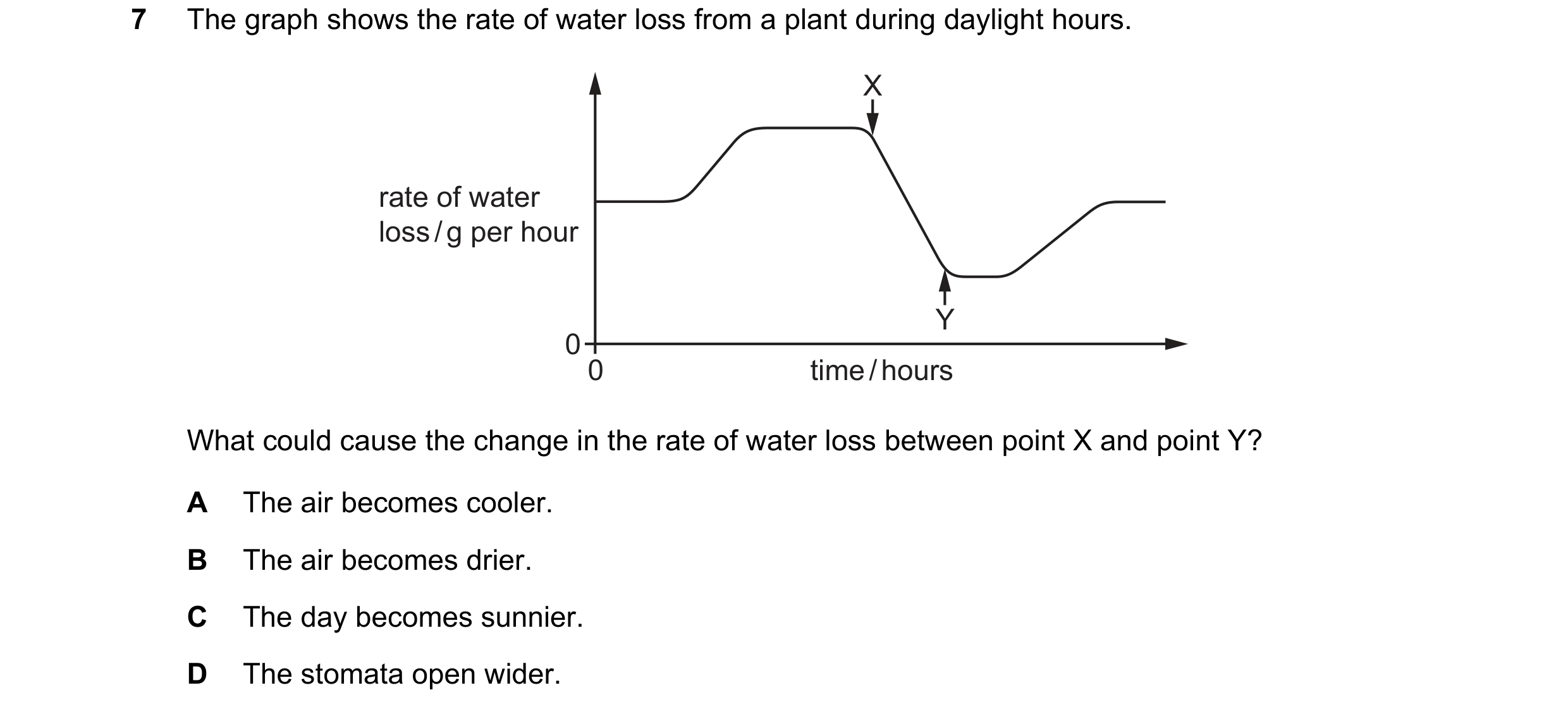 Question 4: The graph shows the rate of water loss from a plant during daylight hours. X rate of water loss / g per hour Y 0 0 time / hours What could …