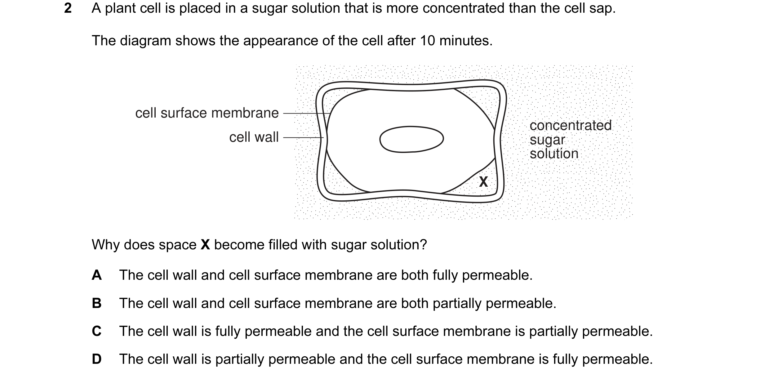 Question 6: A plant cell is placed in a sugar solution that is more concentrated than the cell sap. The diagram shows the appearance of the cell after …