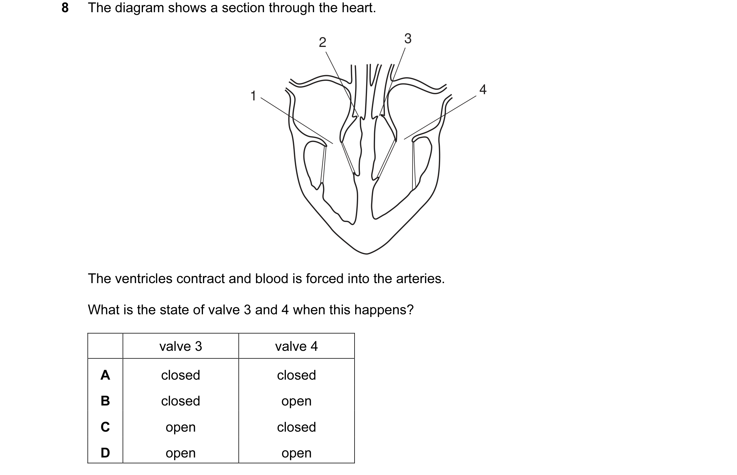 Question 5: The diagram shows a section through the heart. 2 3 4 1 The ventricles contract and blood is forced into the arteries. What is the state of …