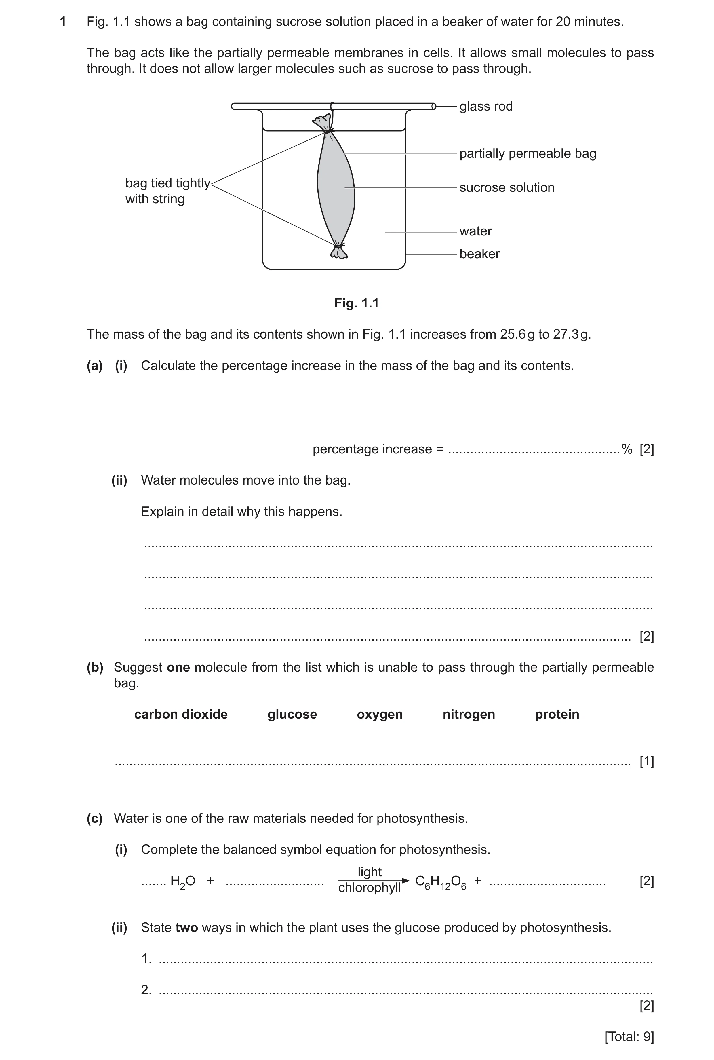 Question 12: Fig. 1.1 shows a bag containing sucrose solution placed in a beaker of water for 20 minutes. The bag acts like the partially permeable memb…