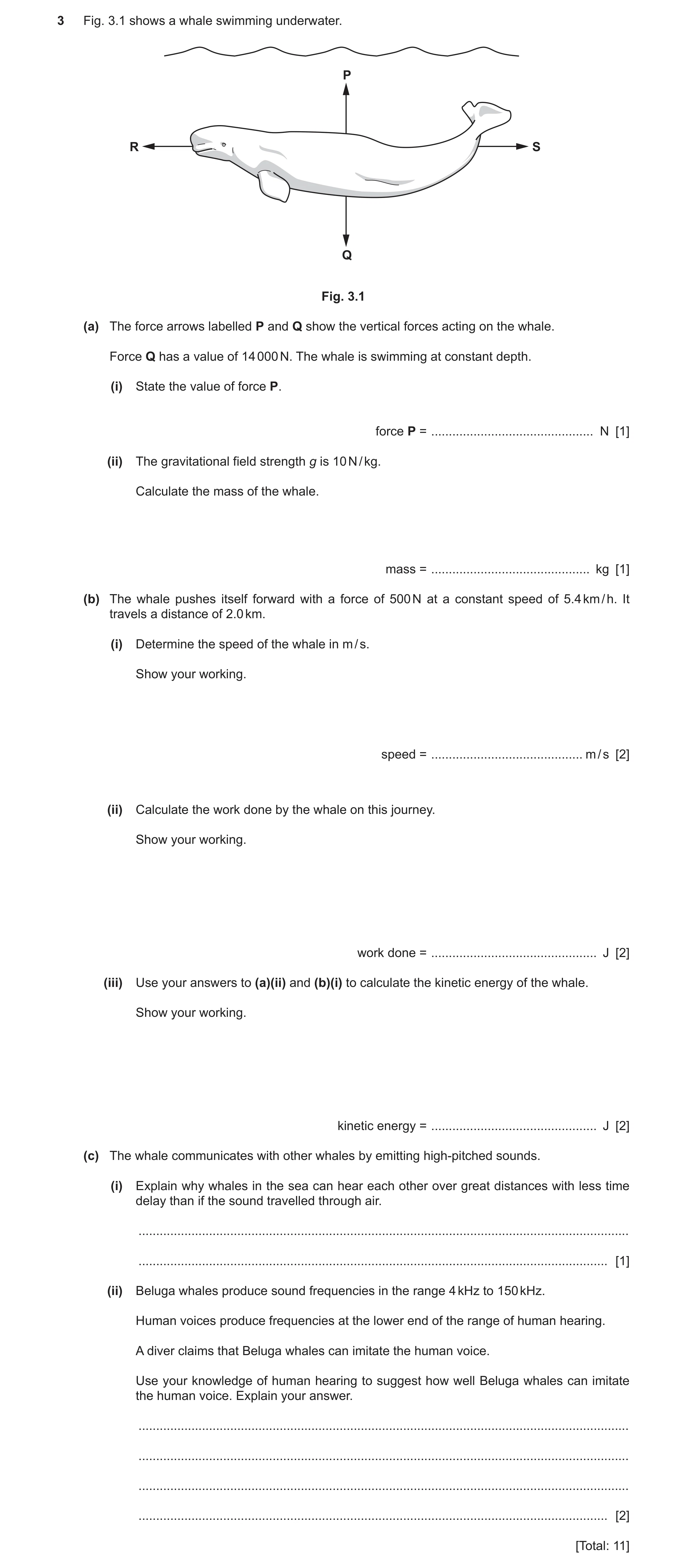 Question 5: Fig. 3.1 shows a whale swimming underwater. P R S Q Fig. 3.1 (a) The force arrows labelled P and Q show the vertical forces acting on the w…