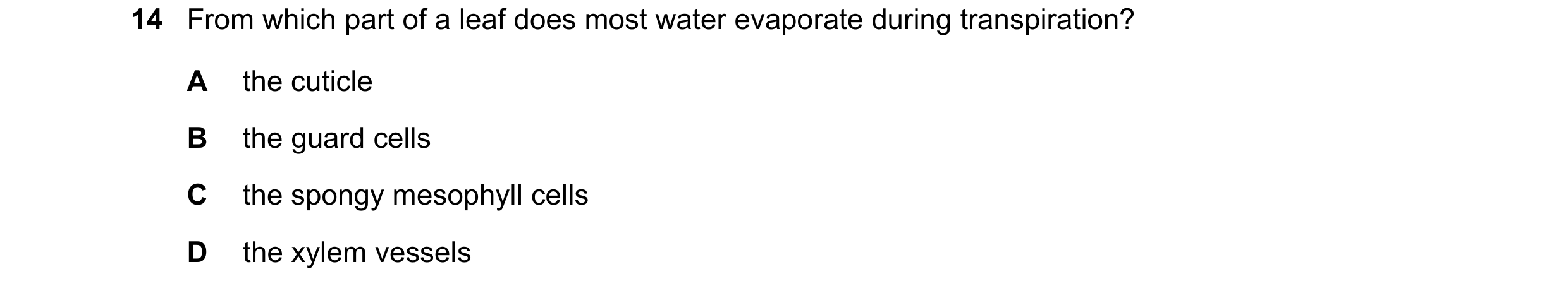 Question 8: From which part of a leaf does most water evaporate during transpiration? A the cuticle B the guard cells C the spongy mesophyll cells D th…
