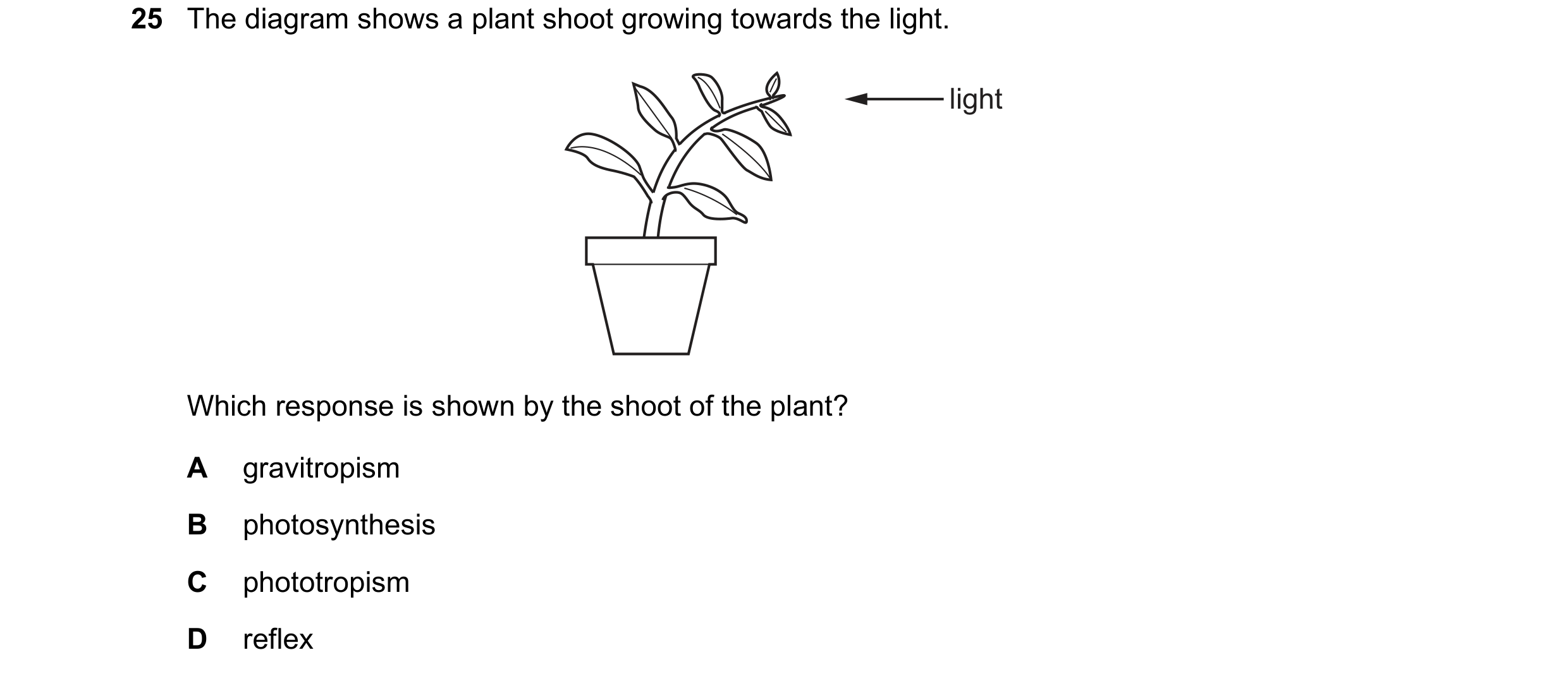 Question 2: The diagram shows a plant shoot growing towards the light. light Which response is shown by the shoot of the plant? A gravitropism B photos…