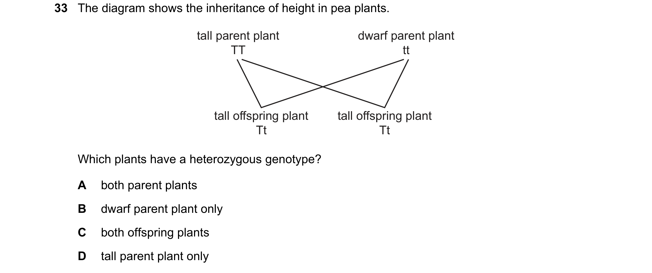 Question 7: The diagram shows the inheritance of height in pea plants. tall parent plant dwarf parent plant TT tt tall offspring plant tall offspring p…