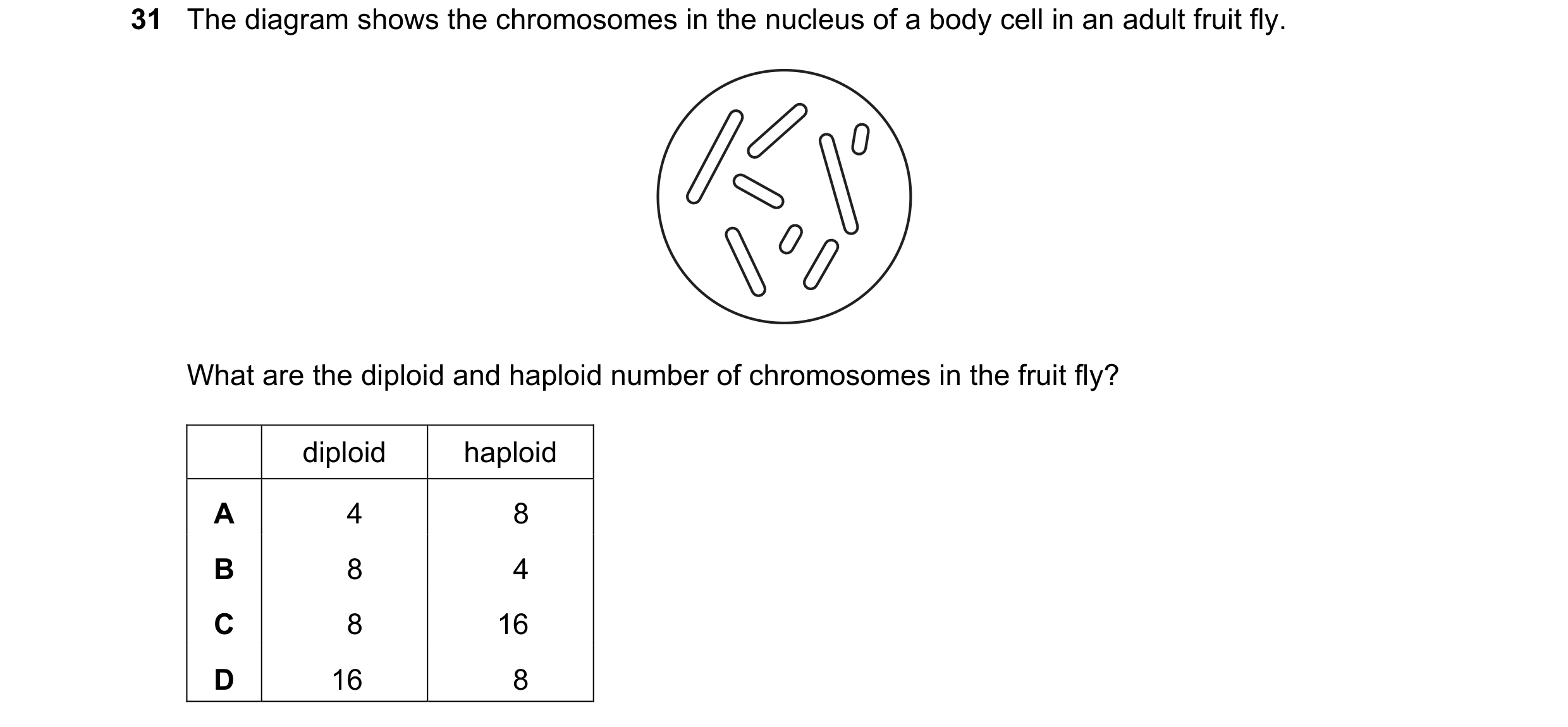 Question 1: The diagram shows the chromosomes in the nucleus of a body cell in an adult fruit fly. What are the diploid and haploid number of chromosom…