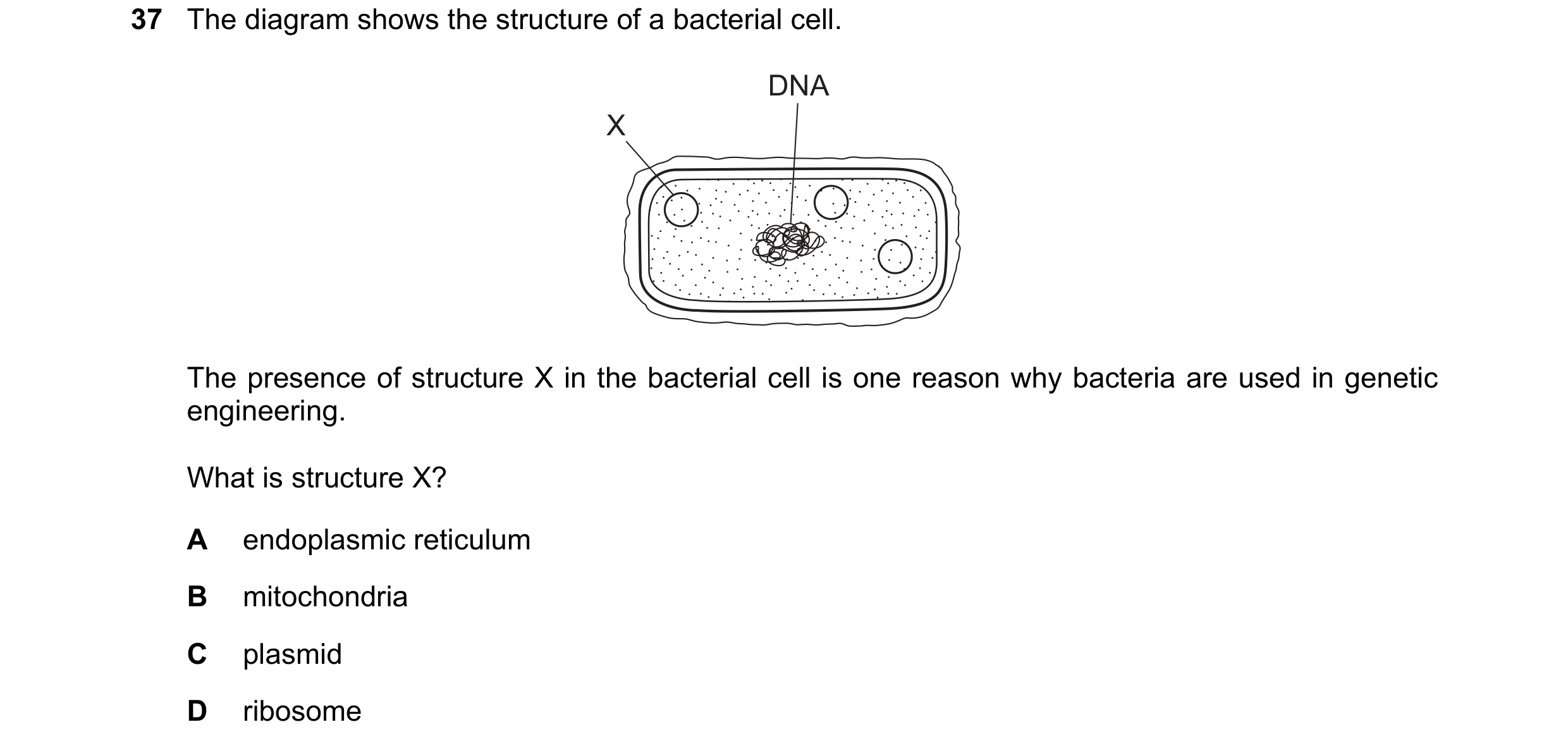 Question 1: The diagram shows the structure of a bacterial cell. DNA X The presence of structure X in the bacterial cell is one reason why bacteria are…